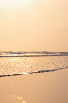 a person walking on a beach with a surfboard
