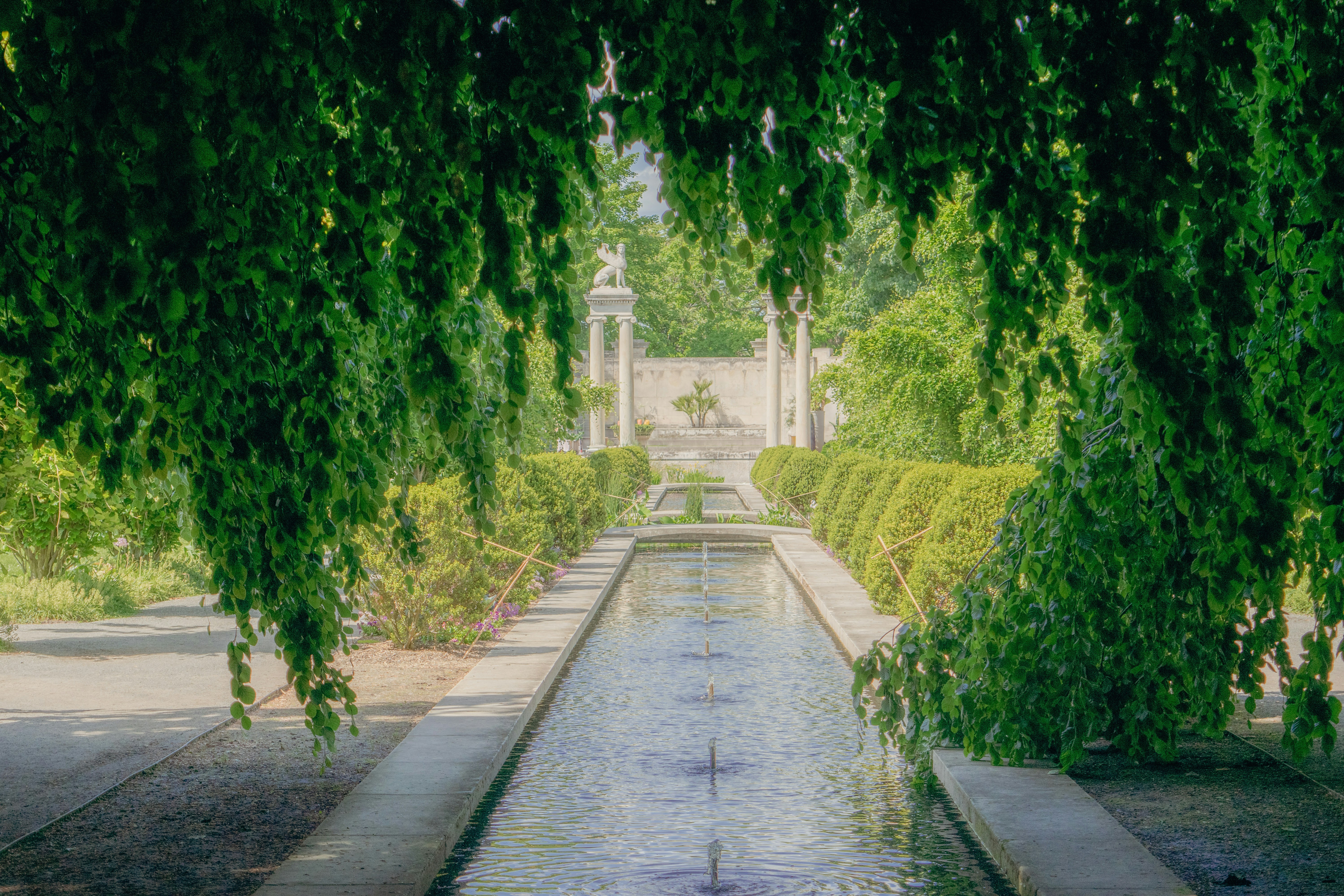 a water feature in a park surrounded by trees
