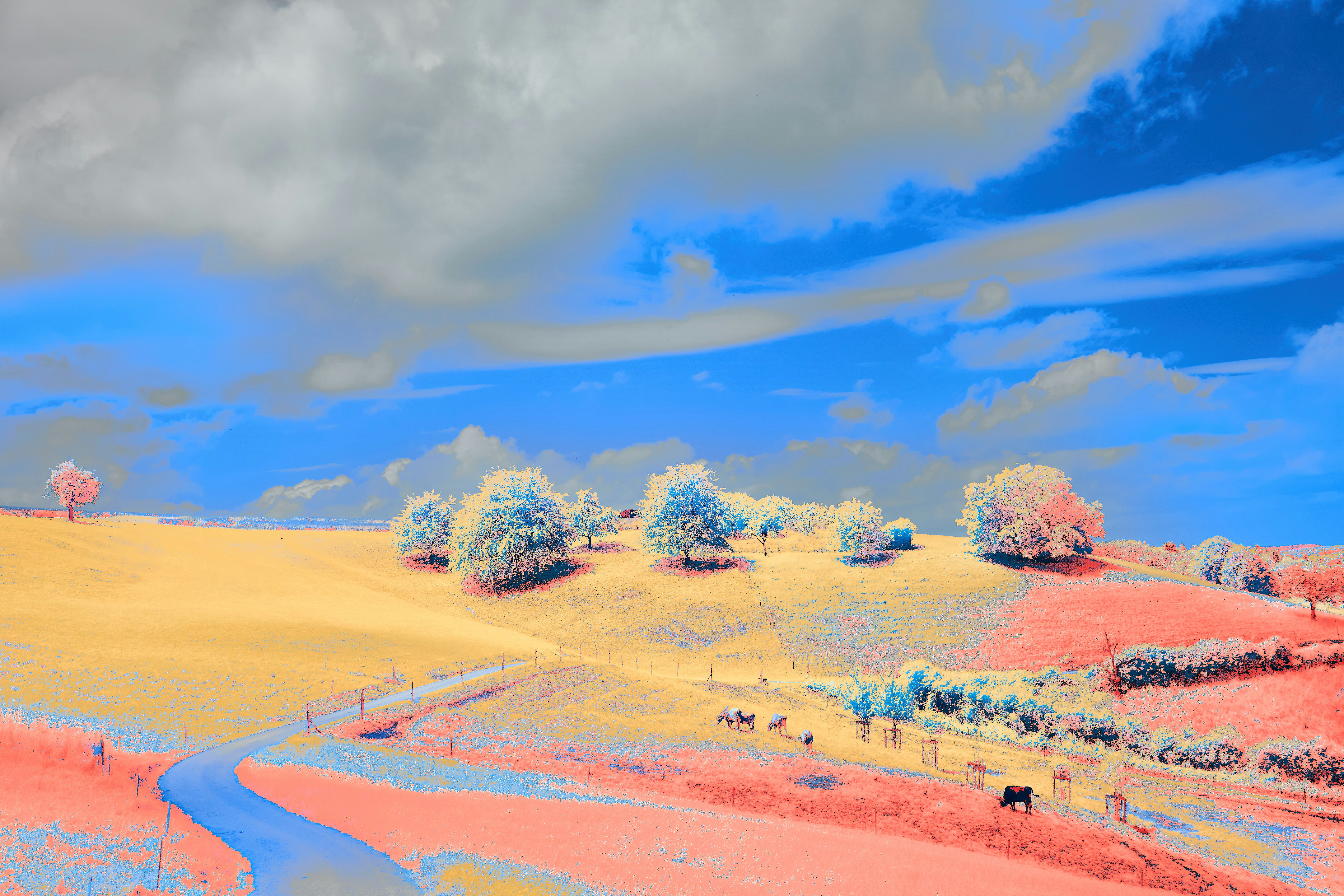 Photo by wolfgang_hasselmann