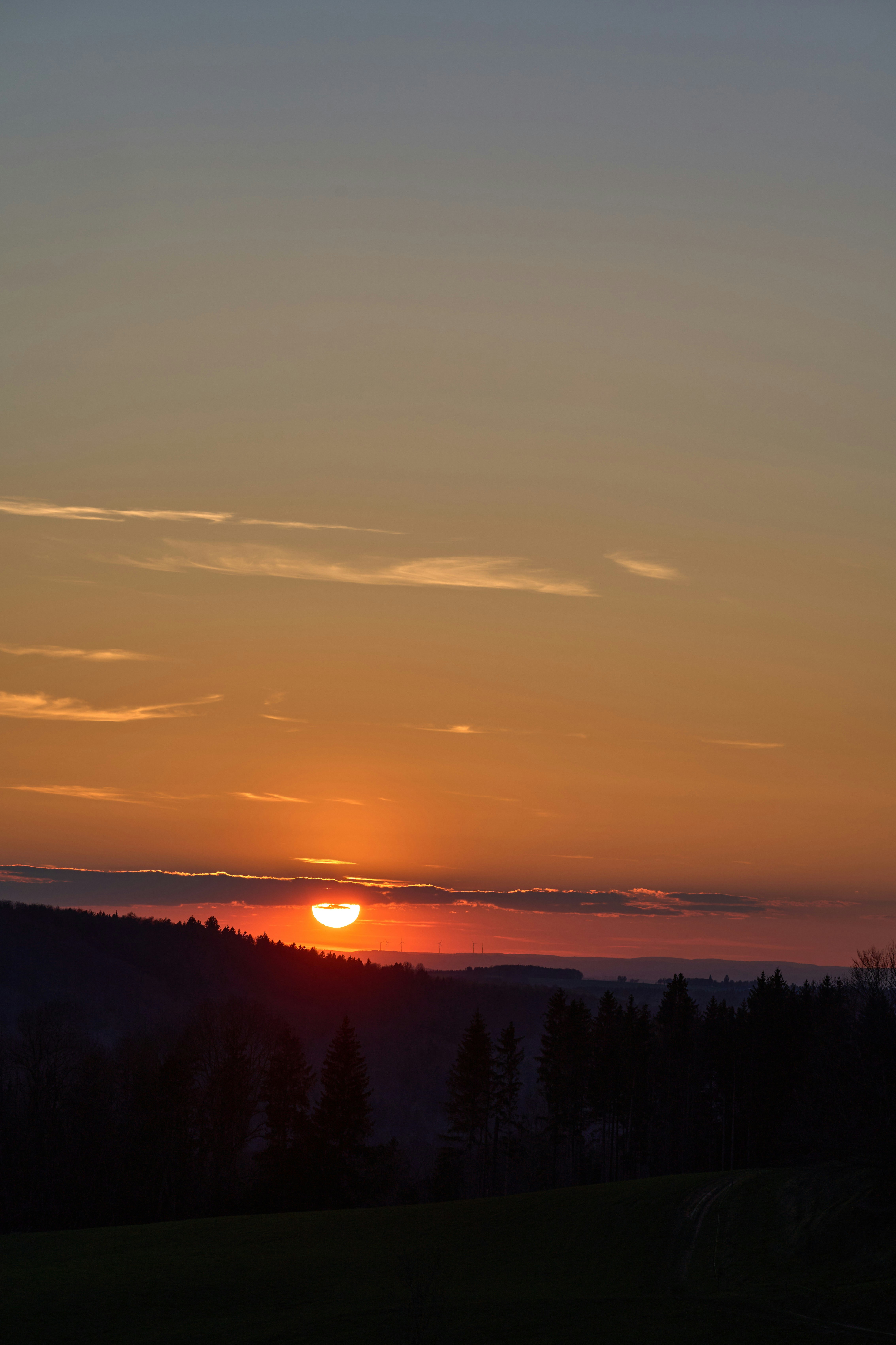 Photo by wolfgang_hasselmann