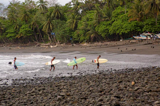 a group of people carrying surfboards into the ocean