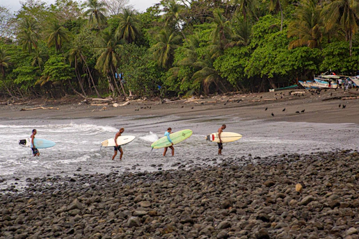 a group of people carrying surfboards into the ocean