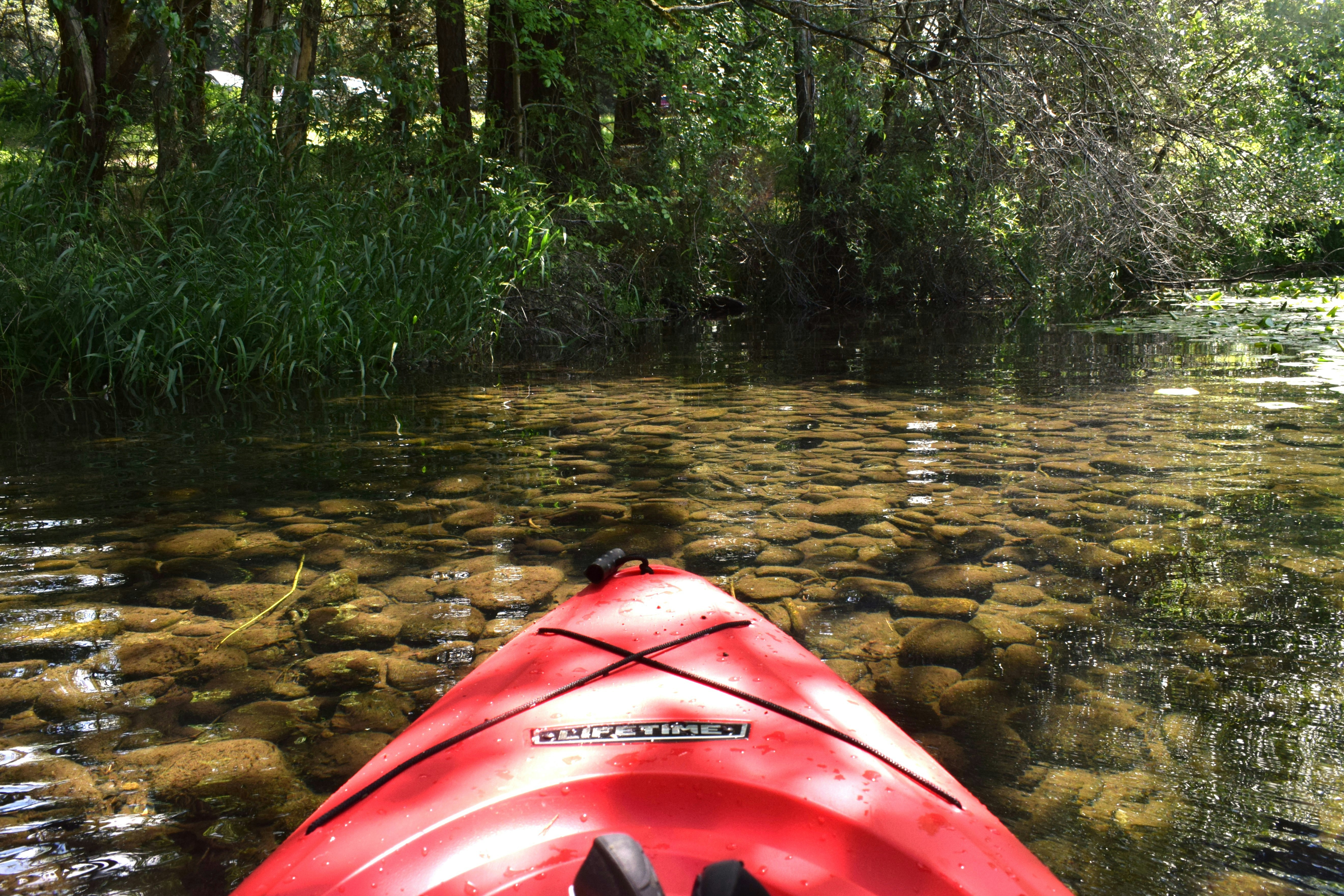 a person in a kayak paddling down a river