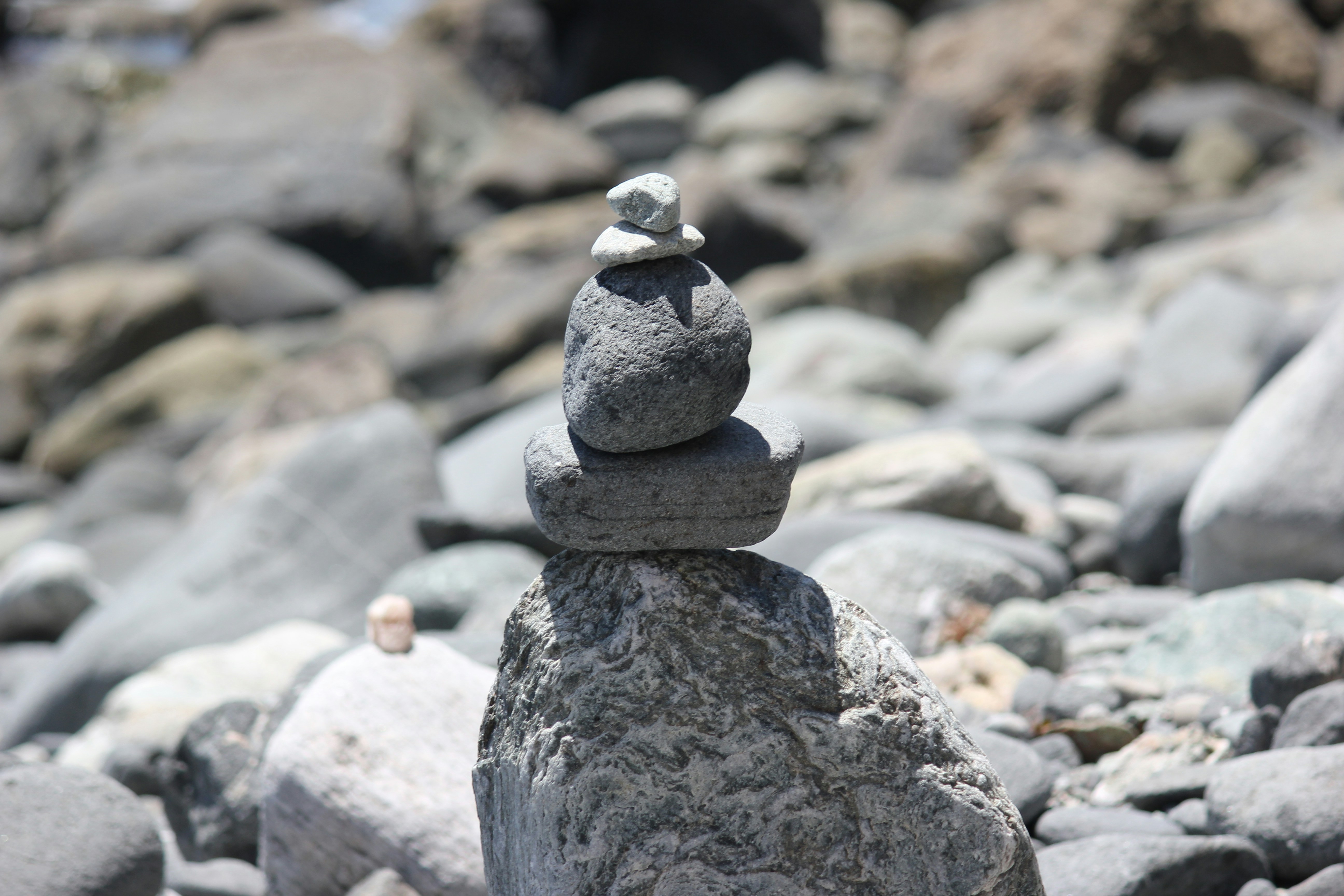 Photo by frolicsomefairy