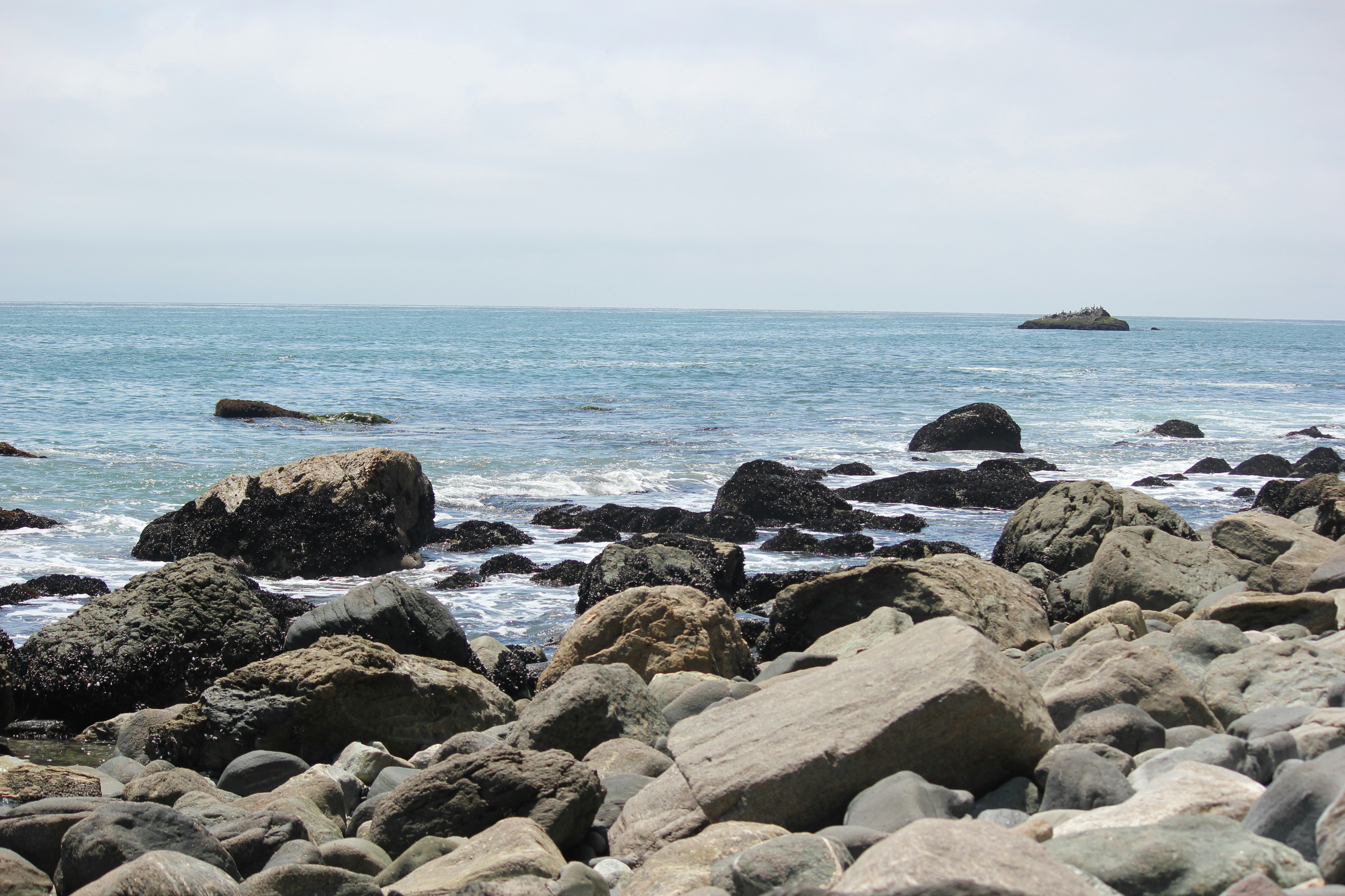 Photo by frolicsomefairy