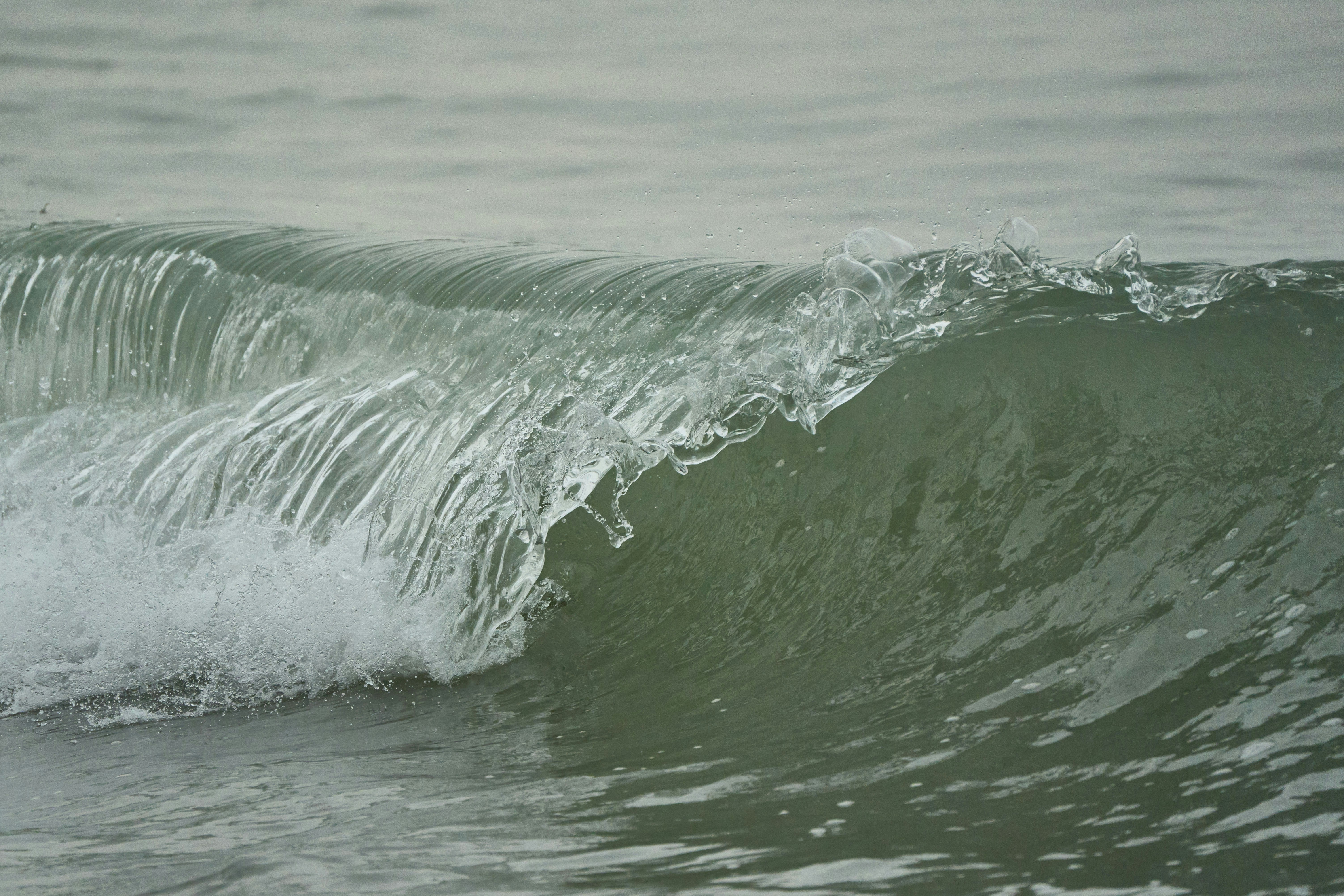 Photo by wolfgang_hasselmann