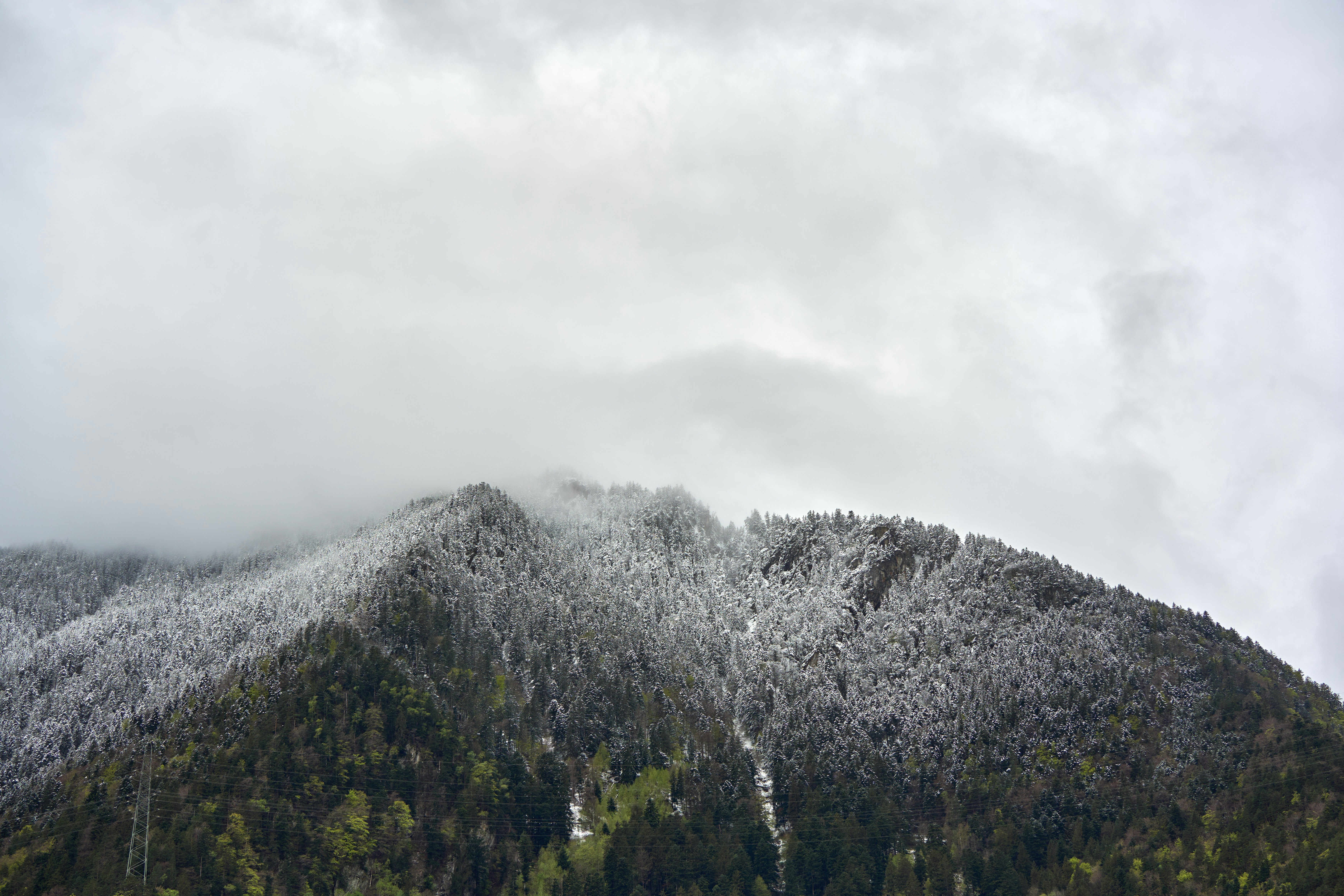 A mountain covered in snow and trees under a cloudy sky photo – Free ...