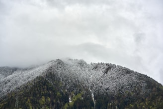 a mountain covered in snow and trees under a cloudy sky