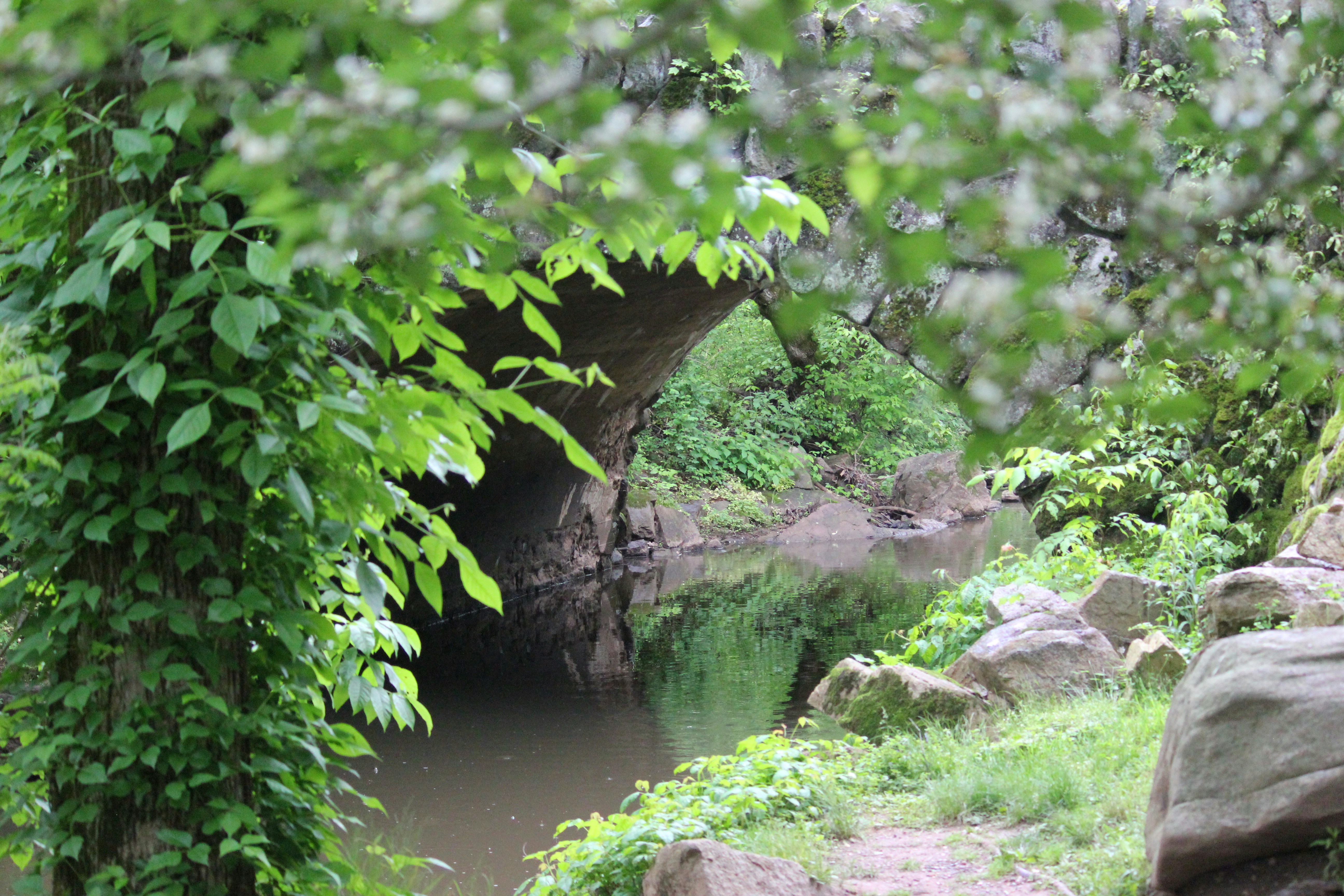 Photo by frolicsomefairy