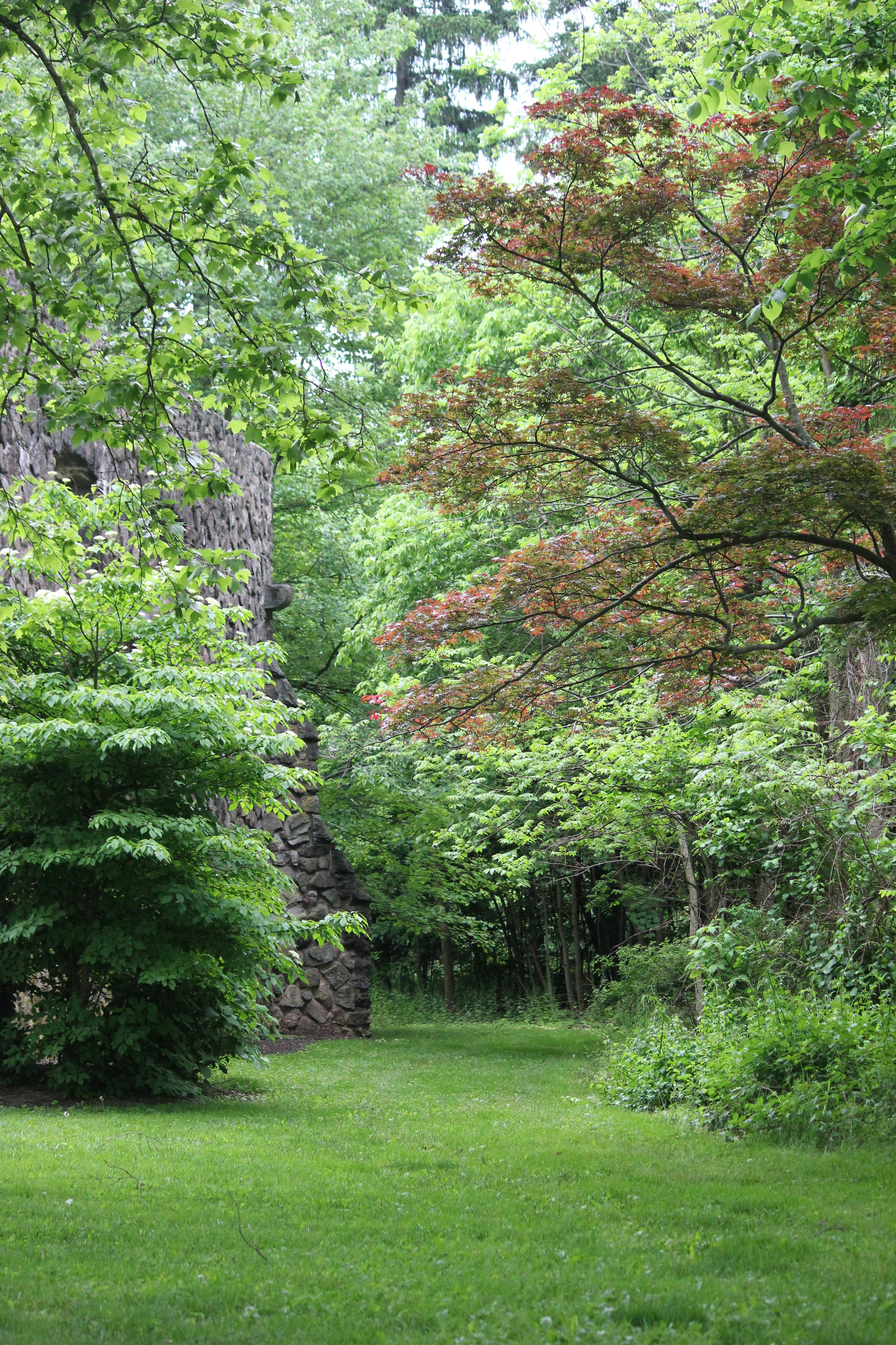 Photo by frolicsomefairy