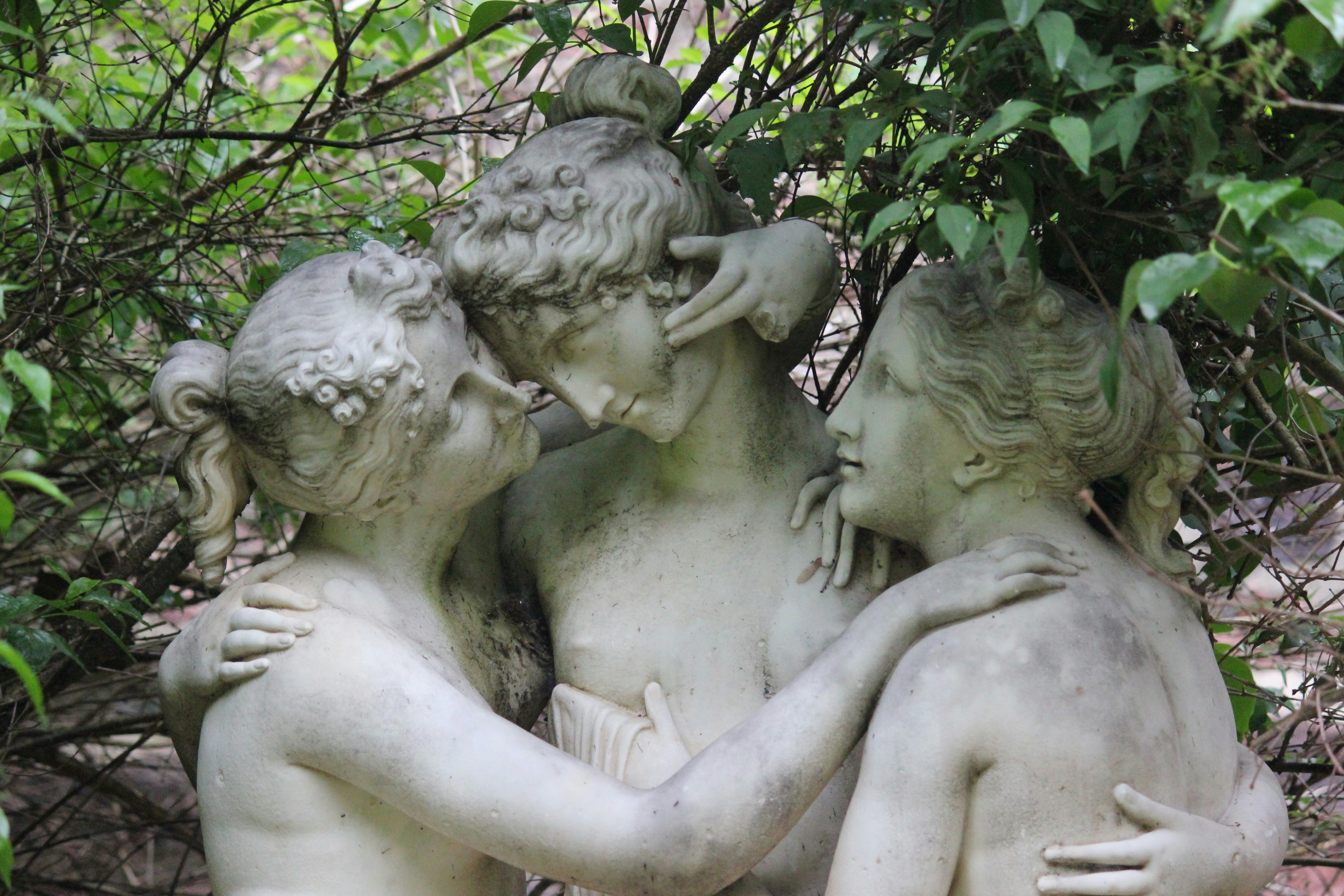 Photo by frolicsomefairy