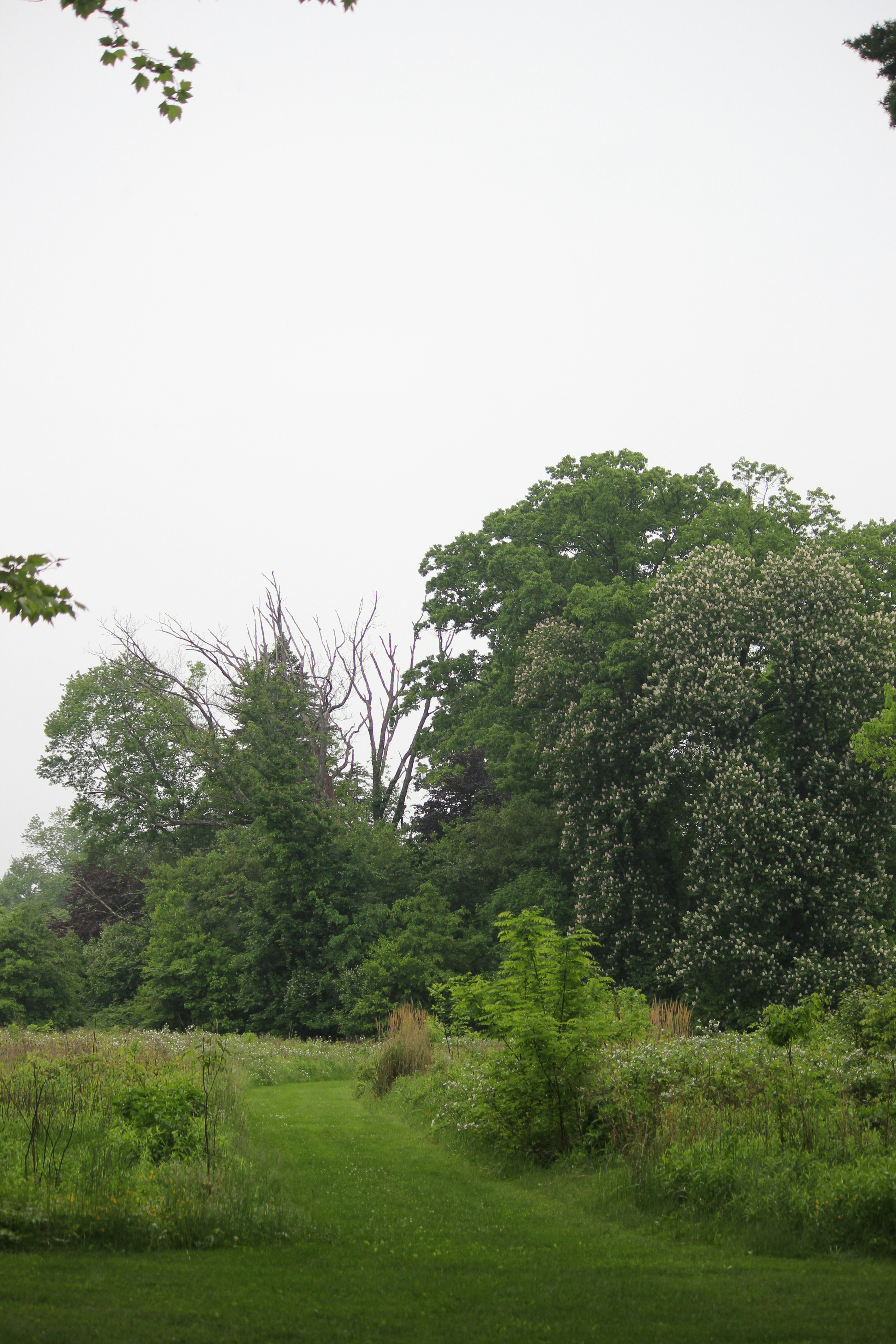 Photo by frolicsomefairy