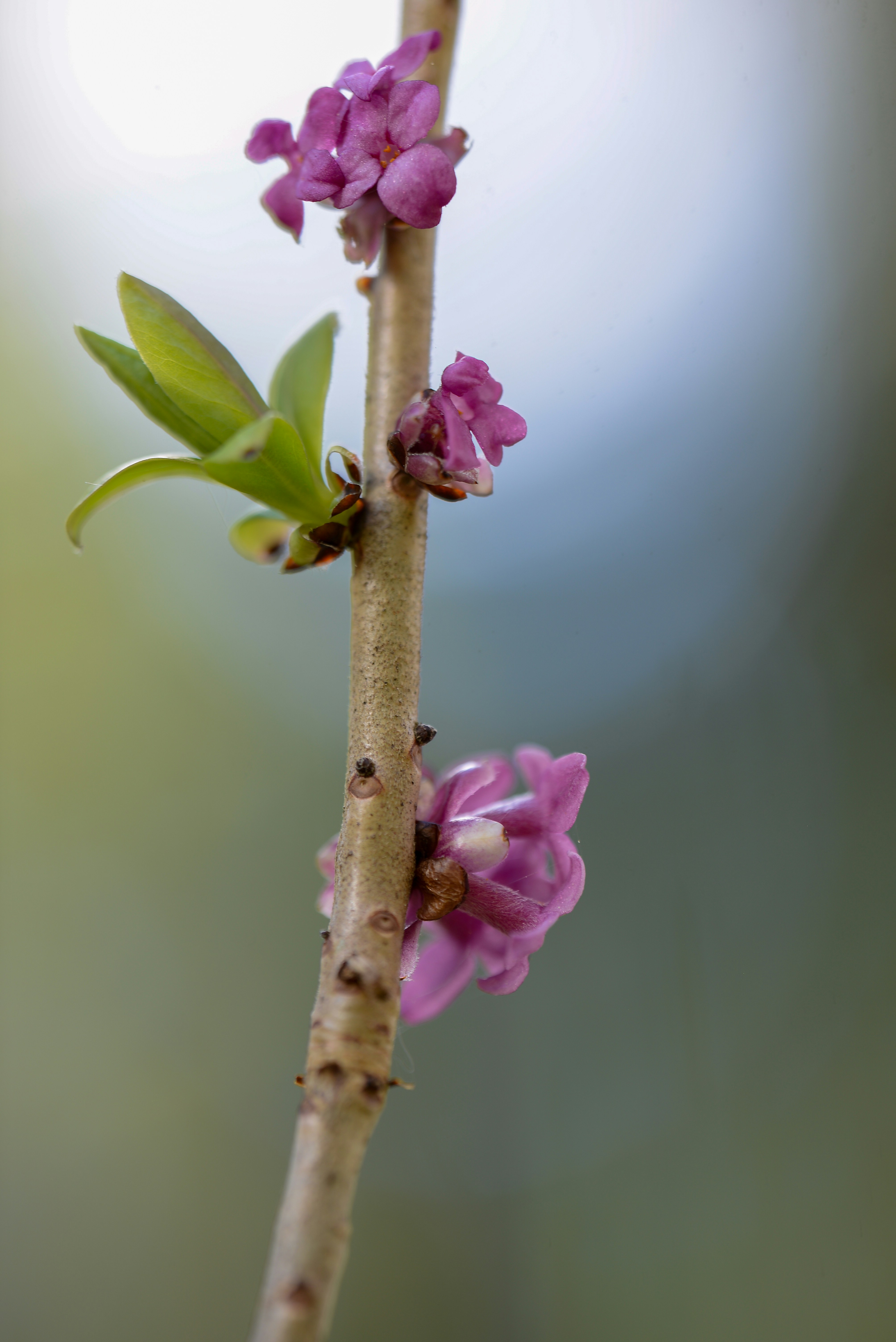 Photo by mxnuel_2309