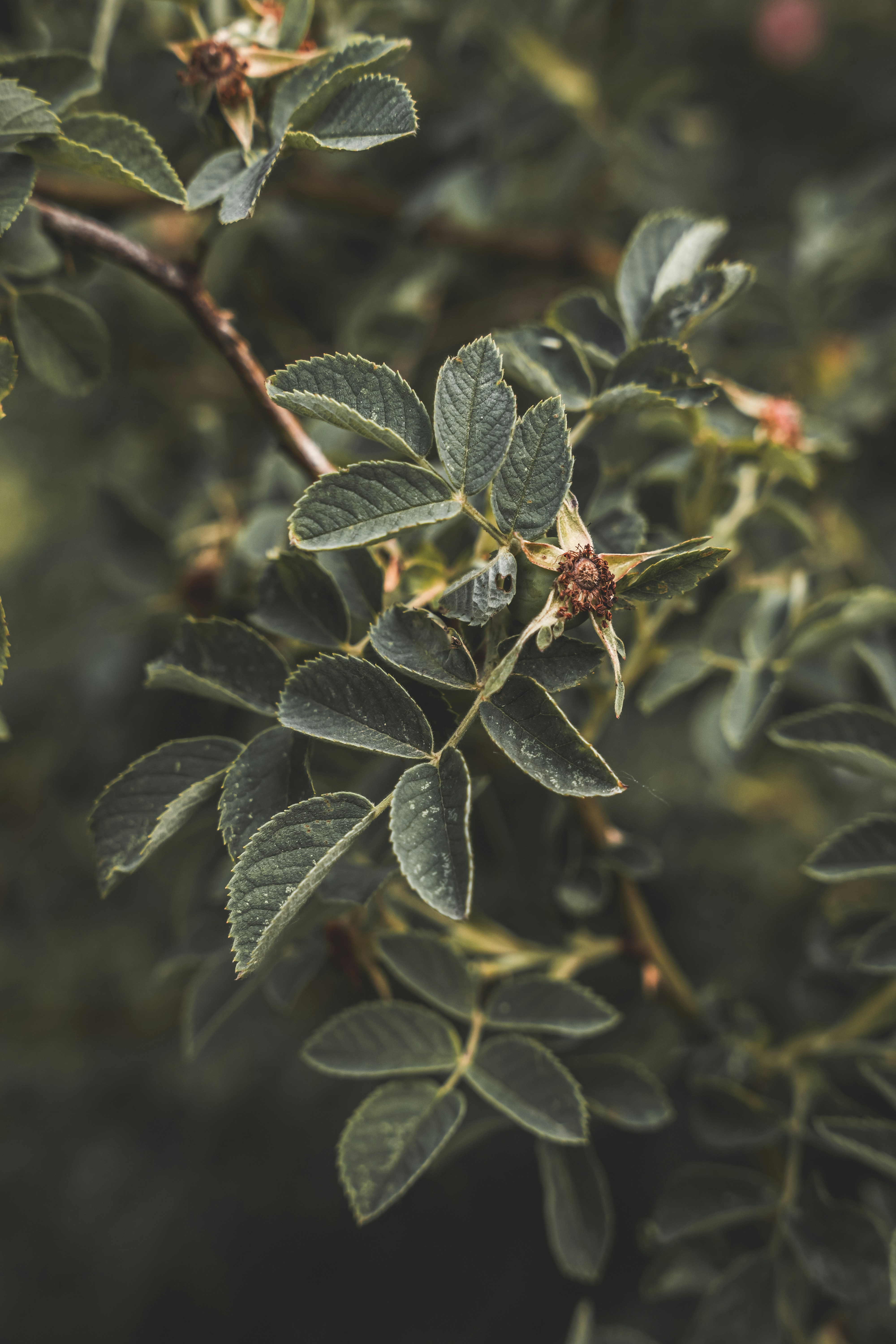 Photo by wojtekpaczes