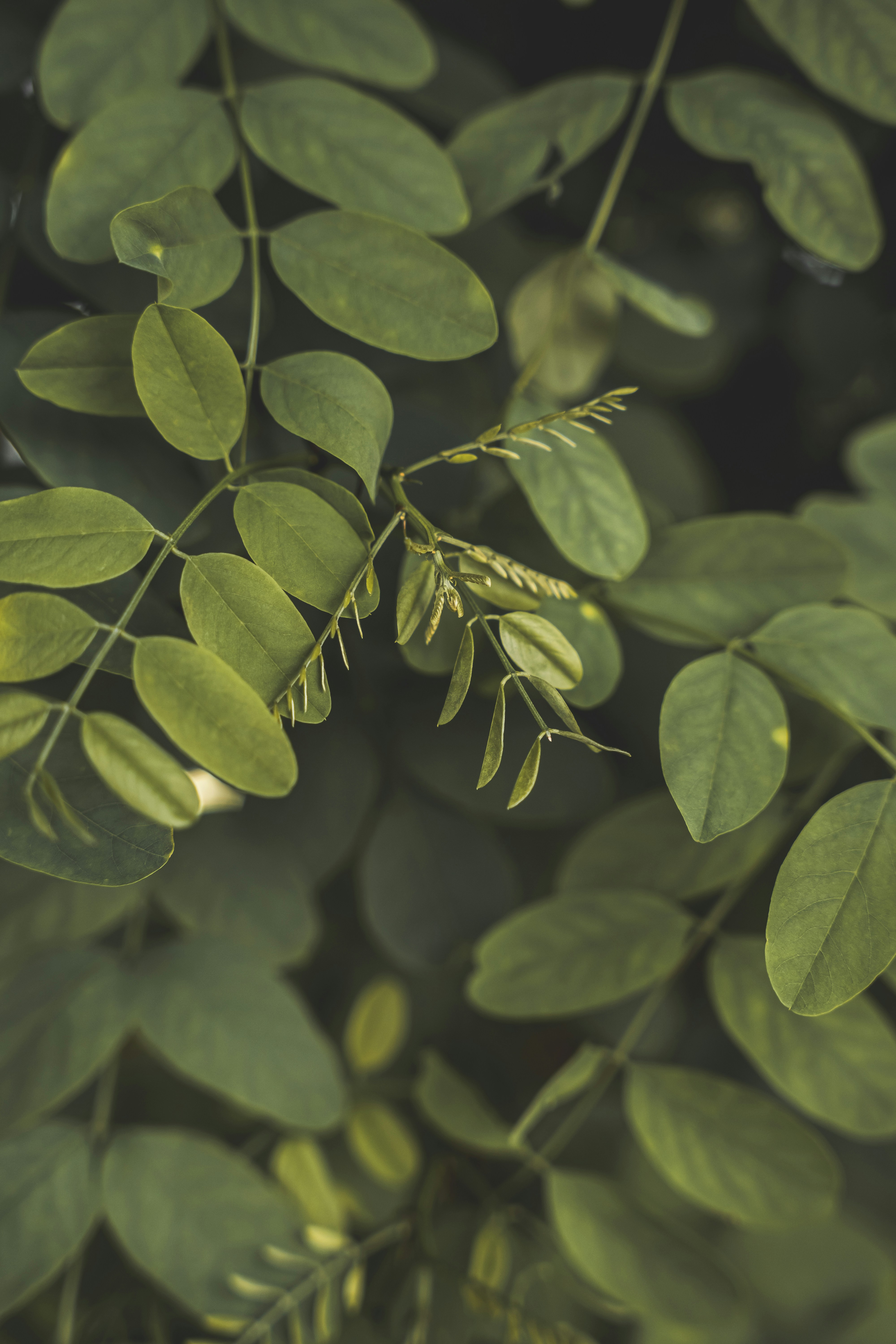 Photo by wojtekpaczes