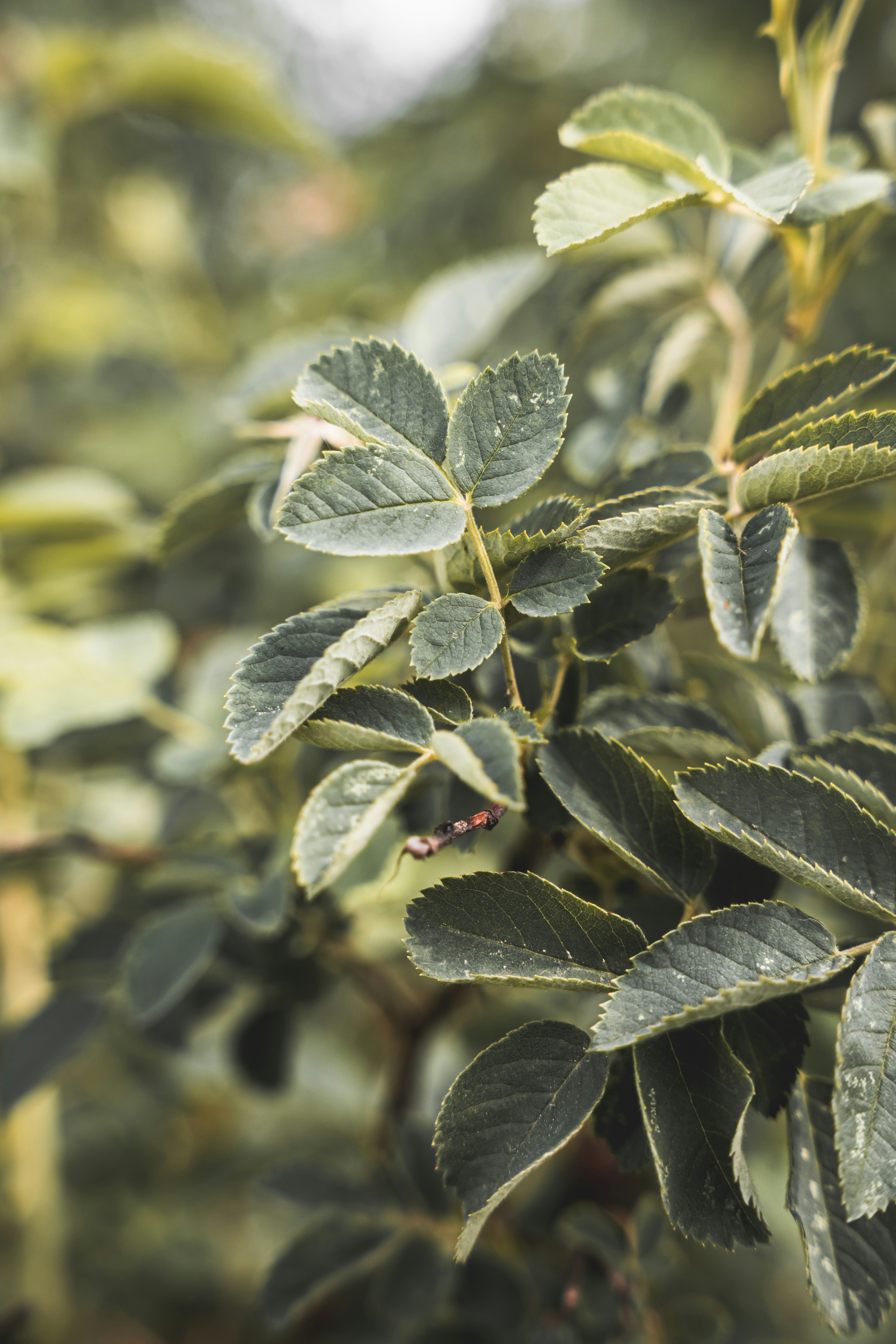 Photo by wojtekpaczes