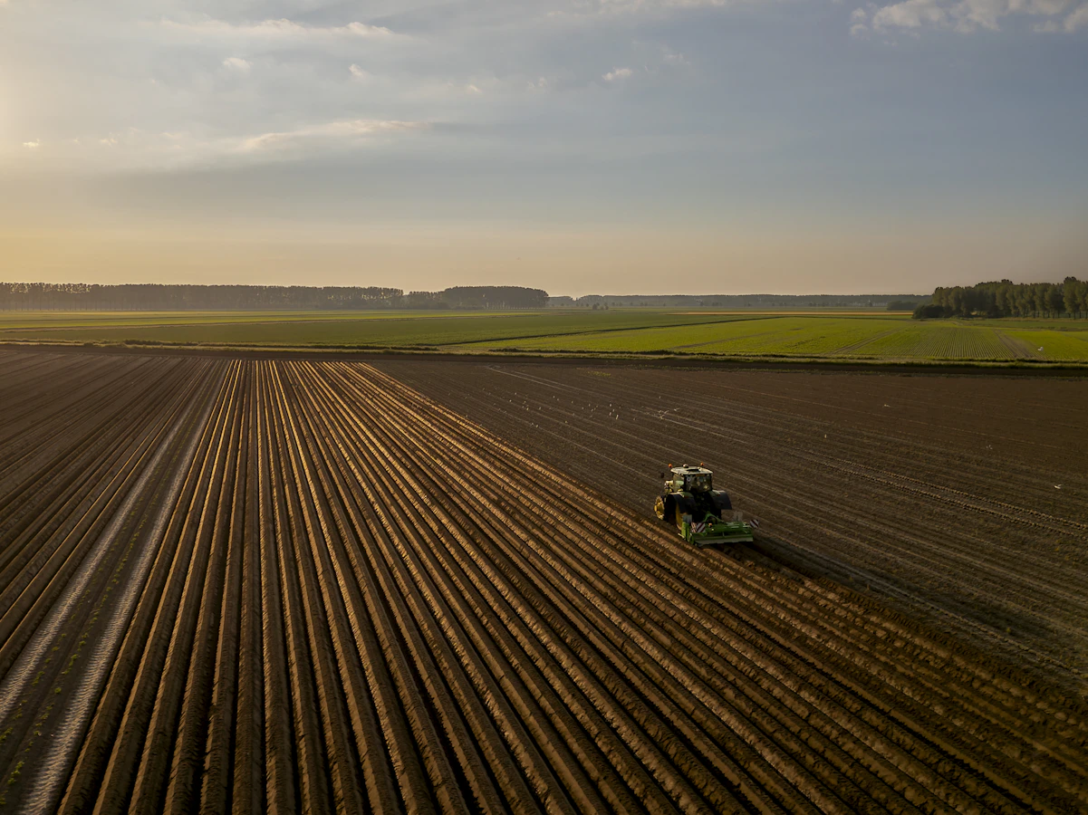 Tractor ploegt een veld bij zonsondergang