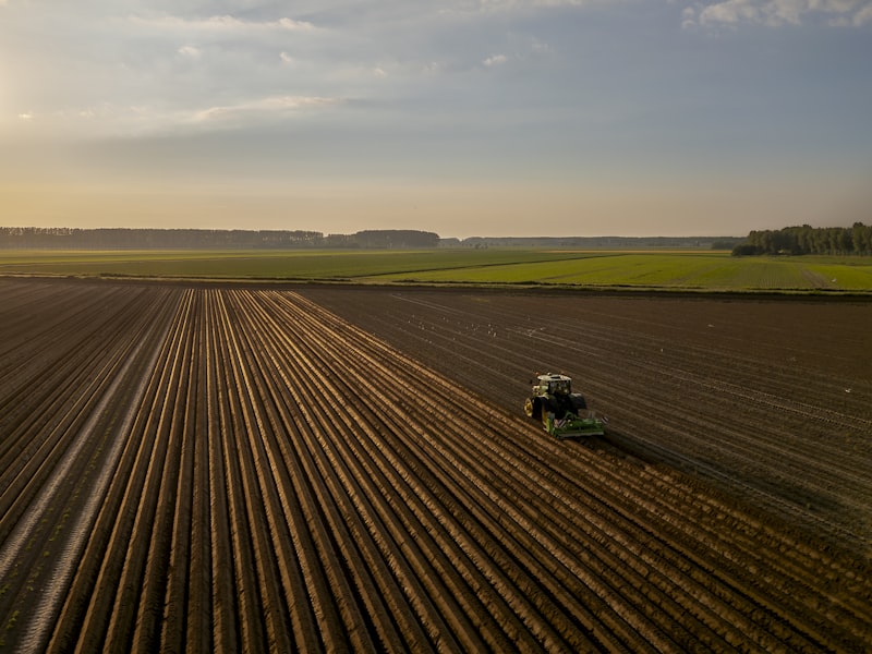 Tractor plowing at sunset