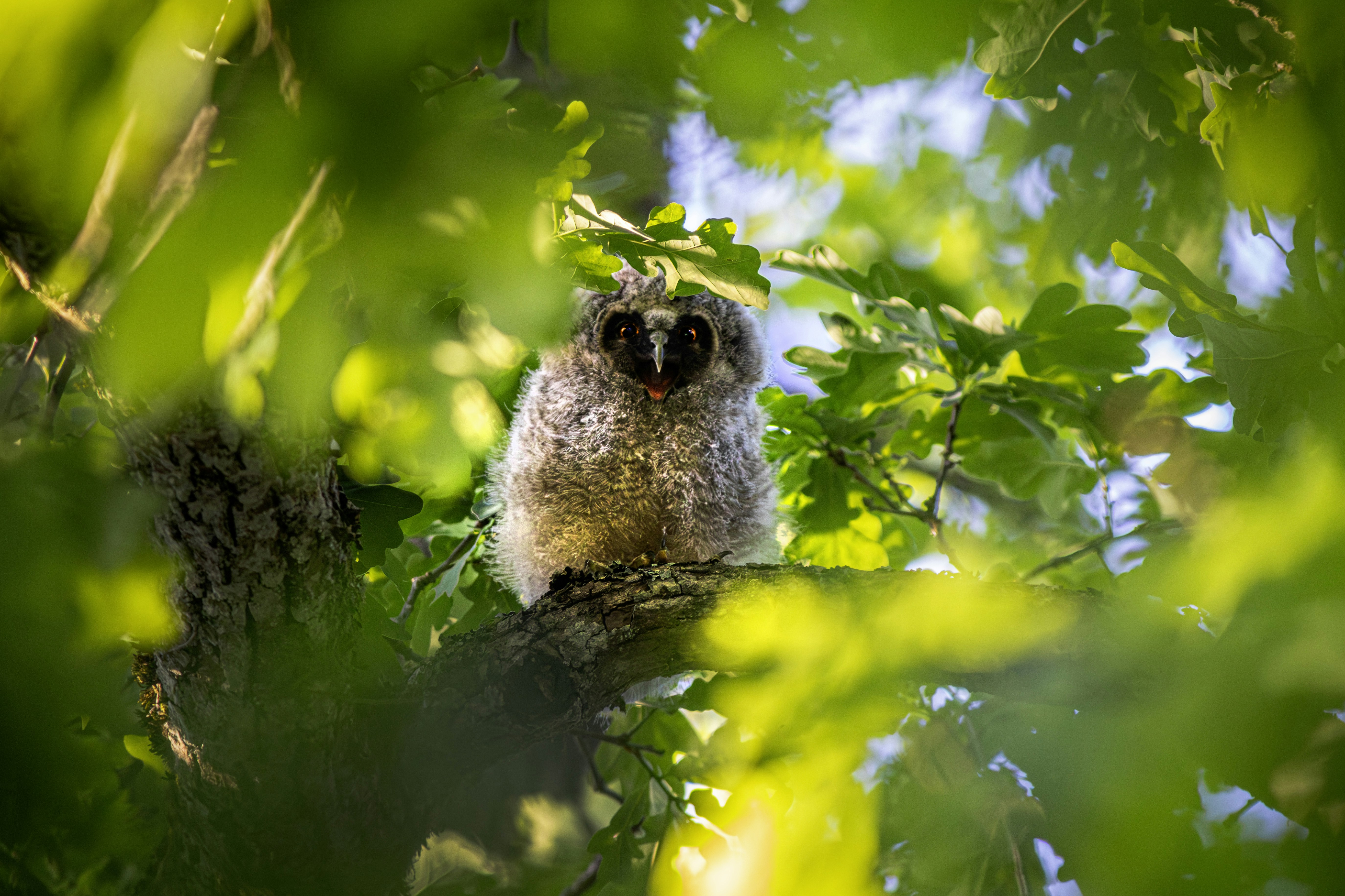 Photo by erik_karits