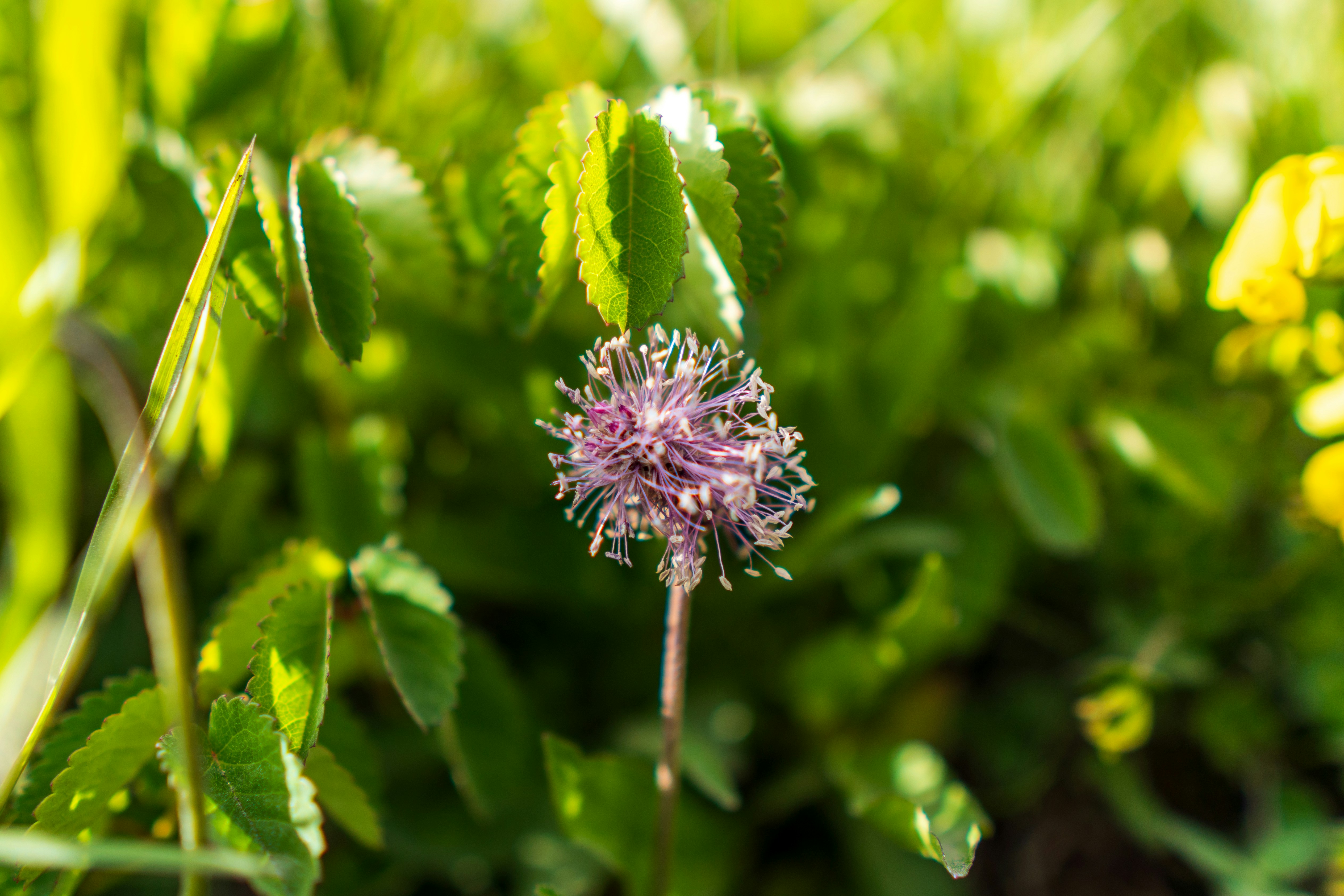 Photo by misha_blivi