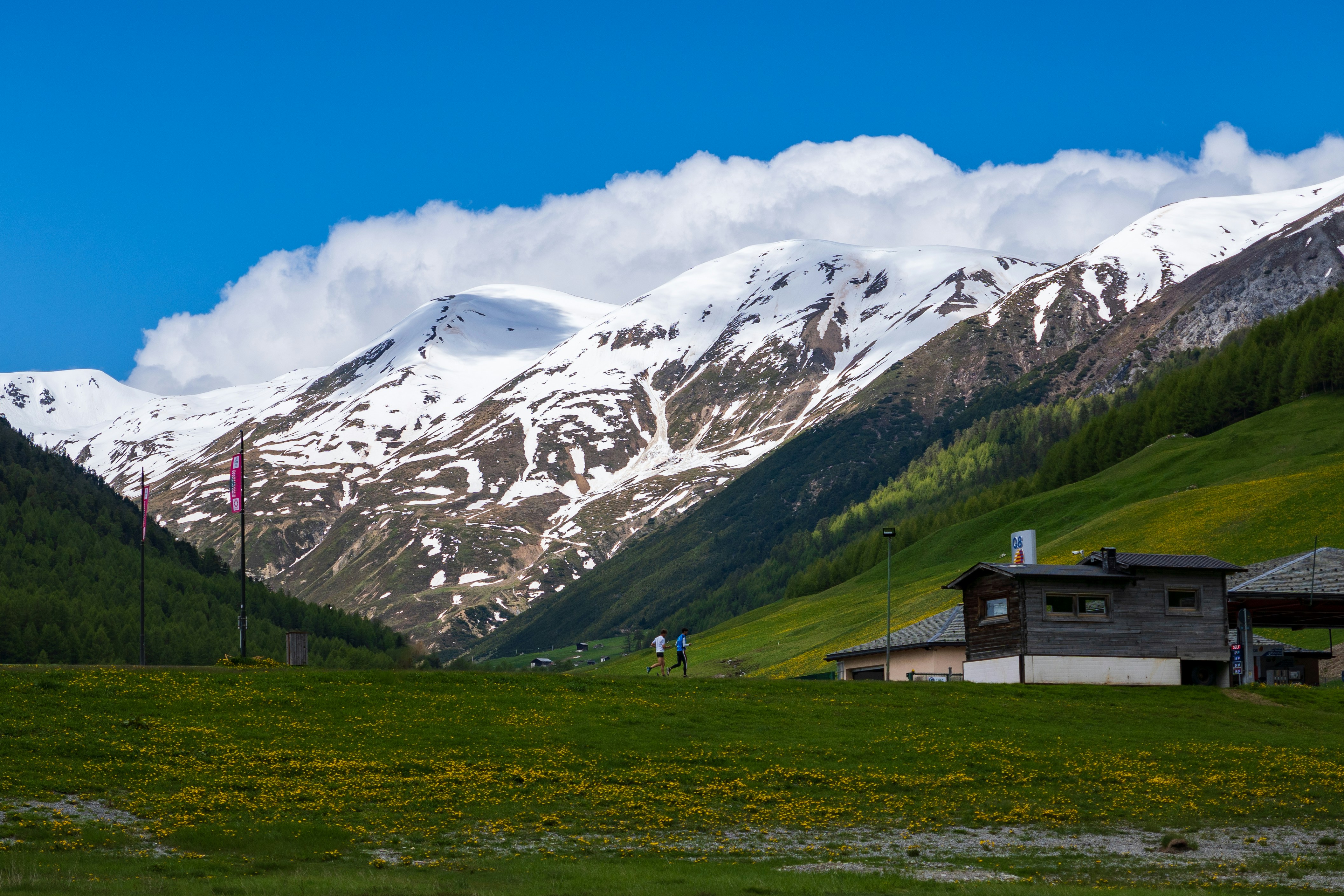 Photo by misha_blivi