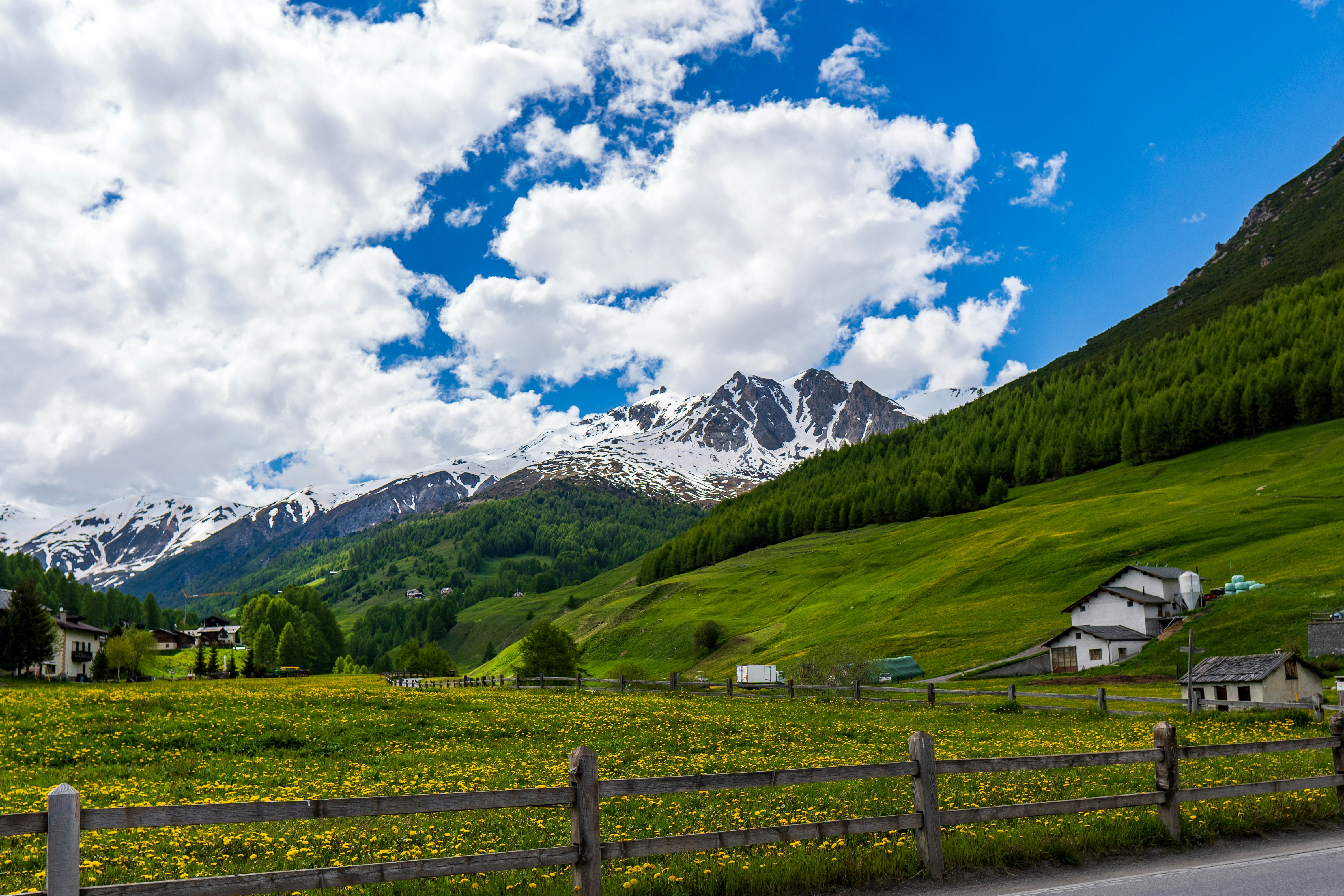 Photo by misha_blivi