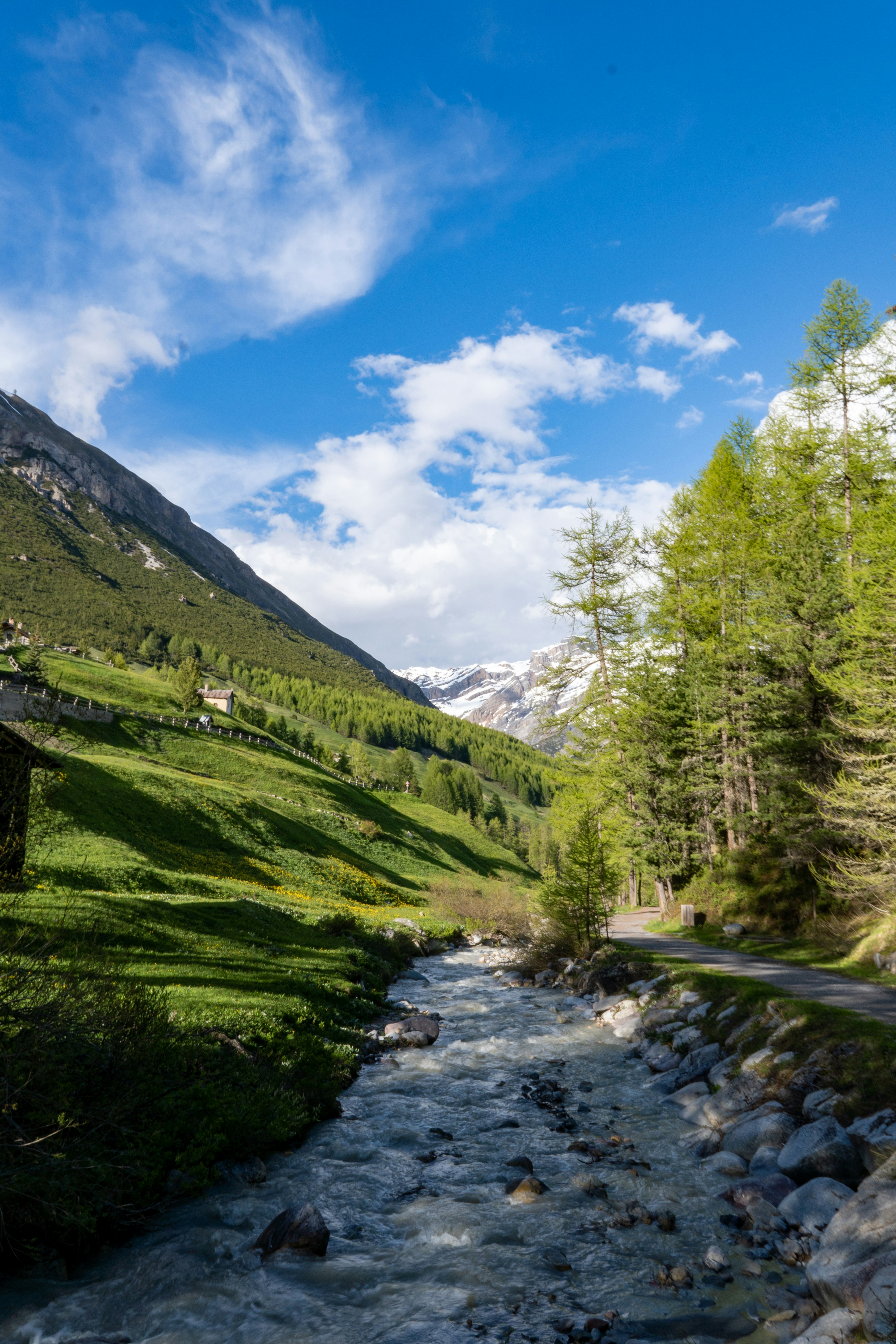 Photo by misha_blivi