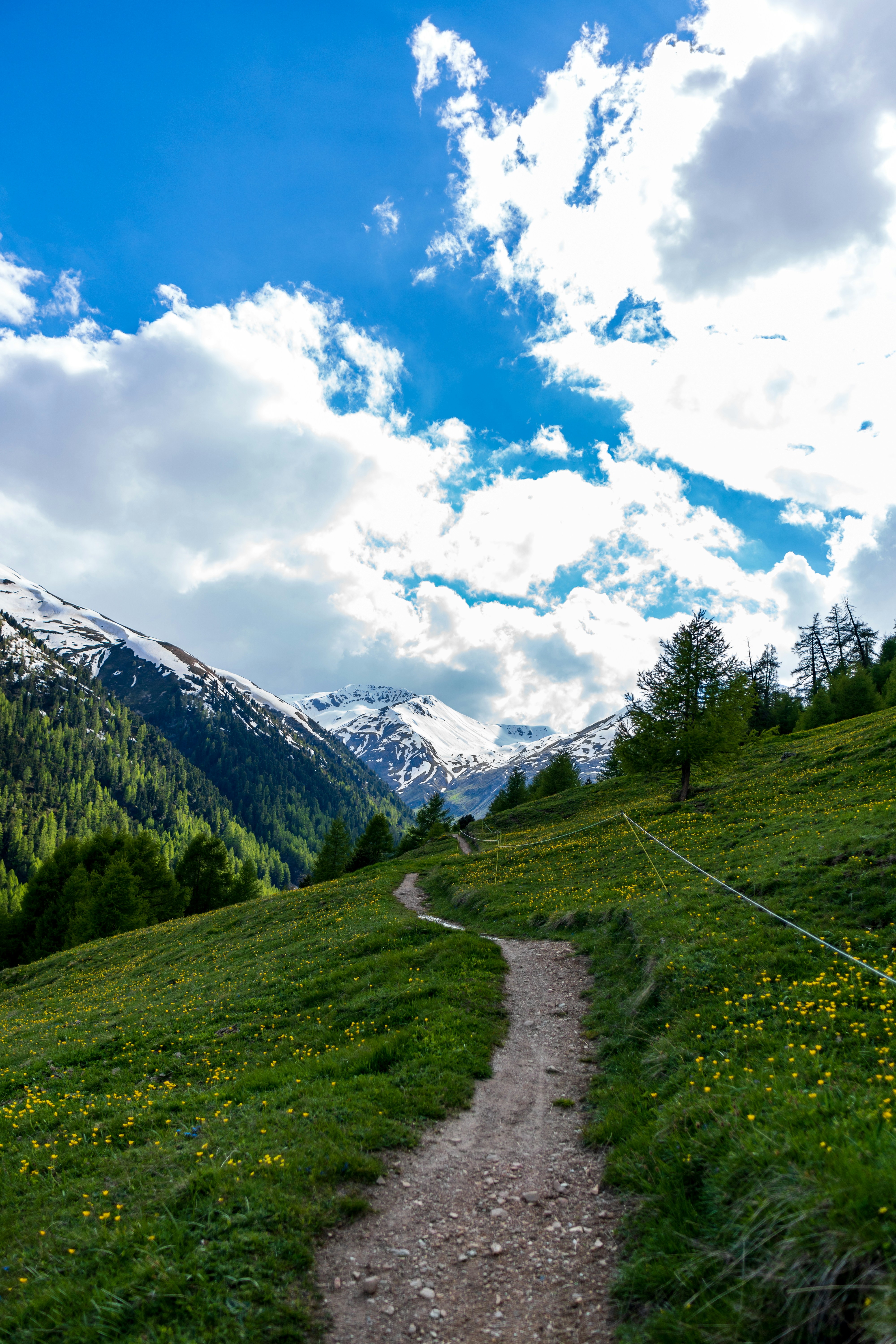 Photo by misha_blivi