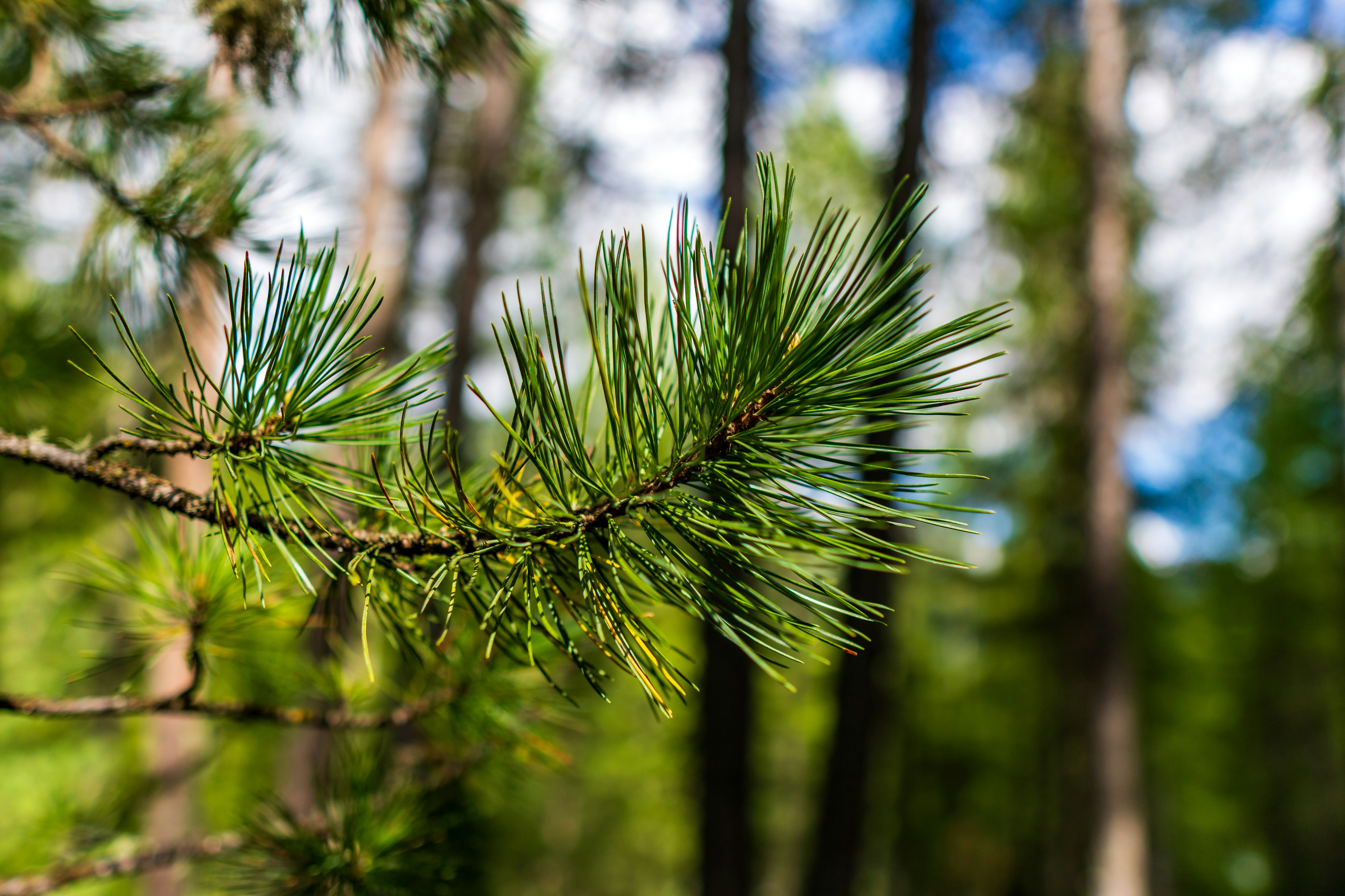 Photo by misha_blivi