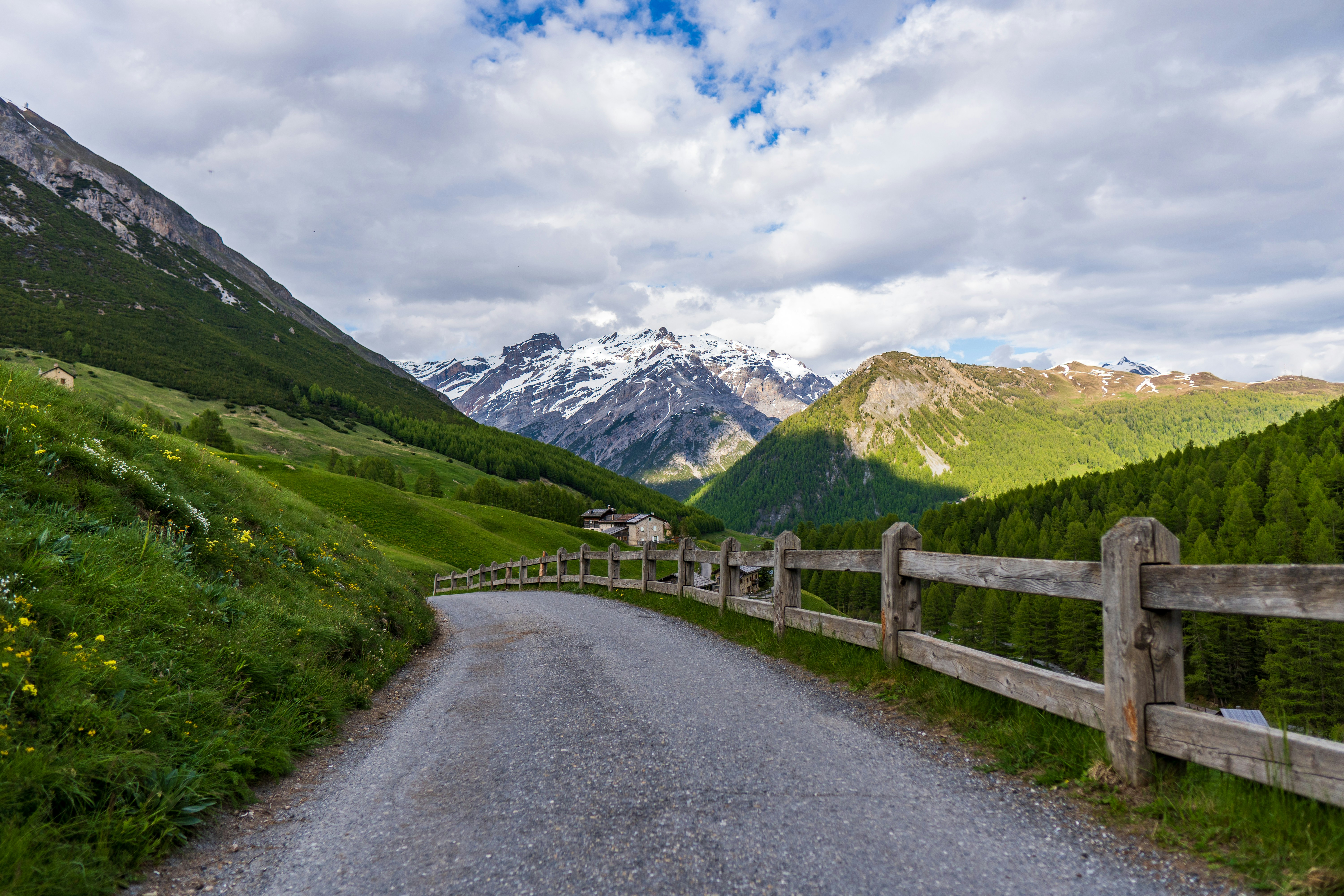 Photo by misha_blivi