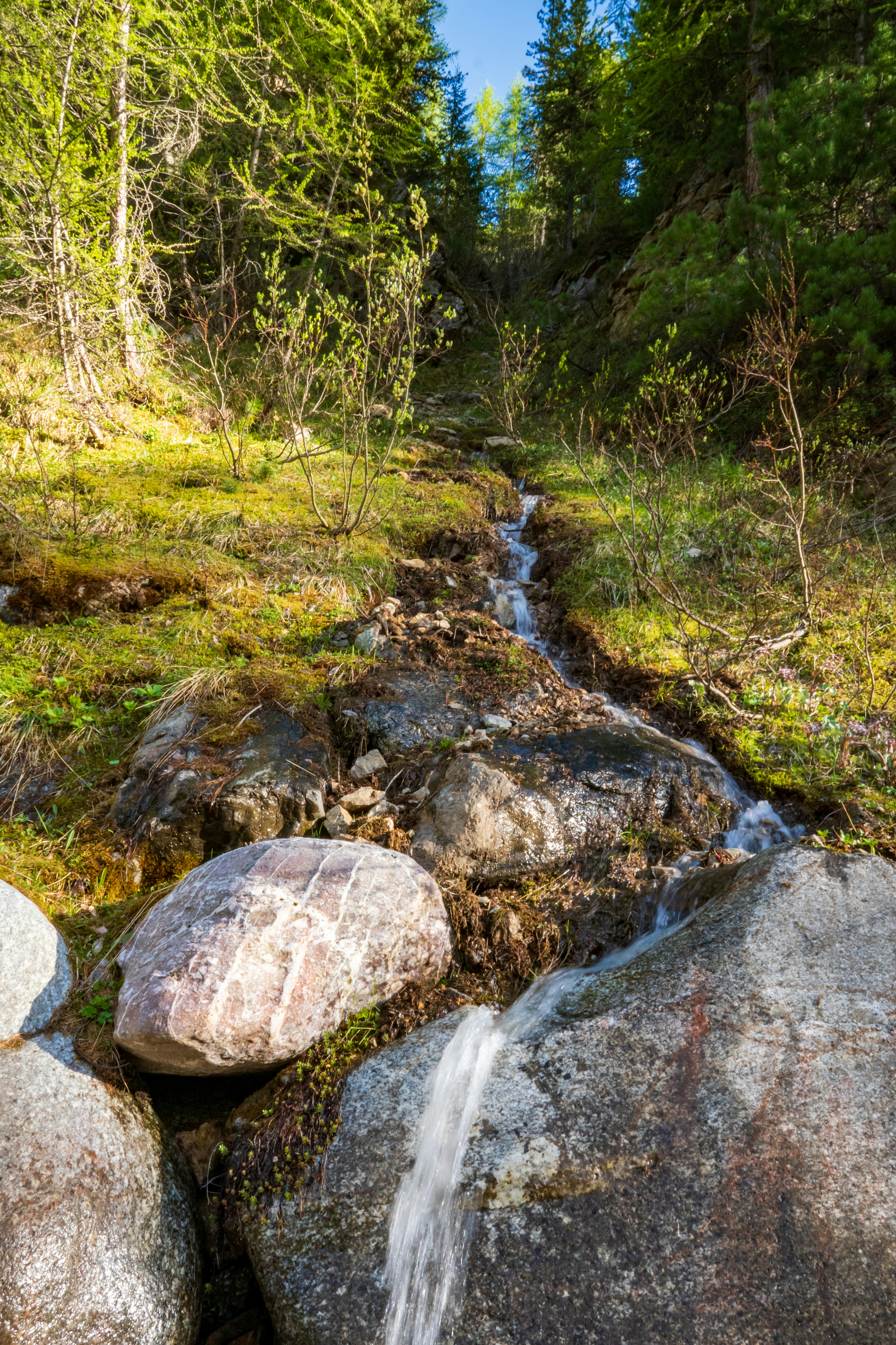 Photo by misha_blivi