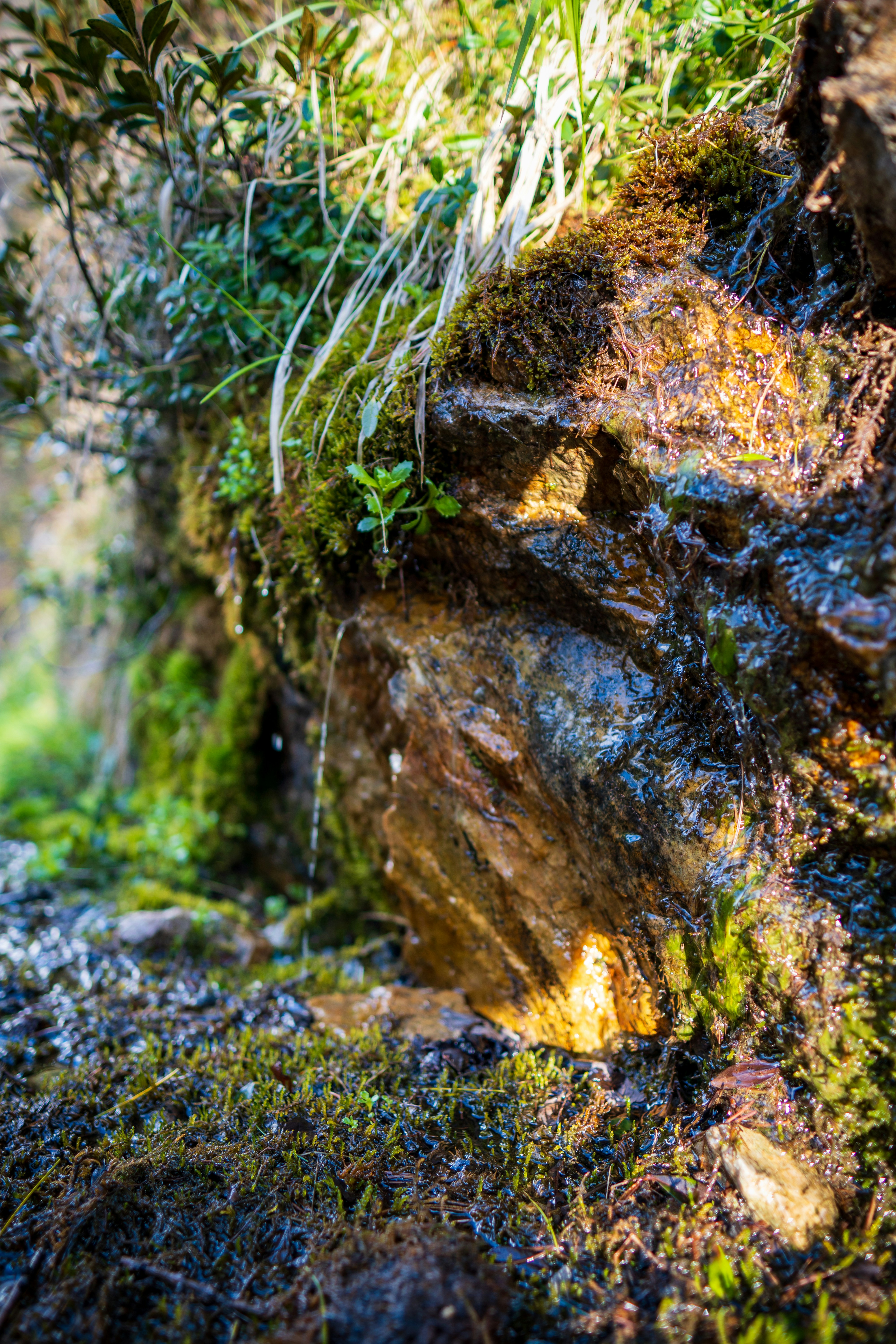 Photo by misha_blivi