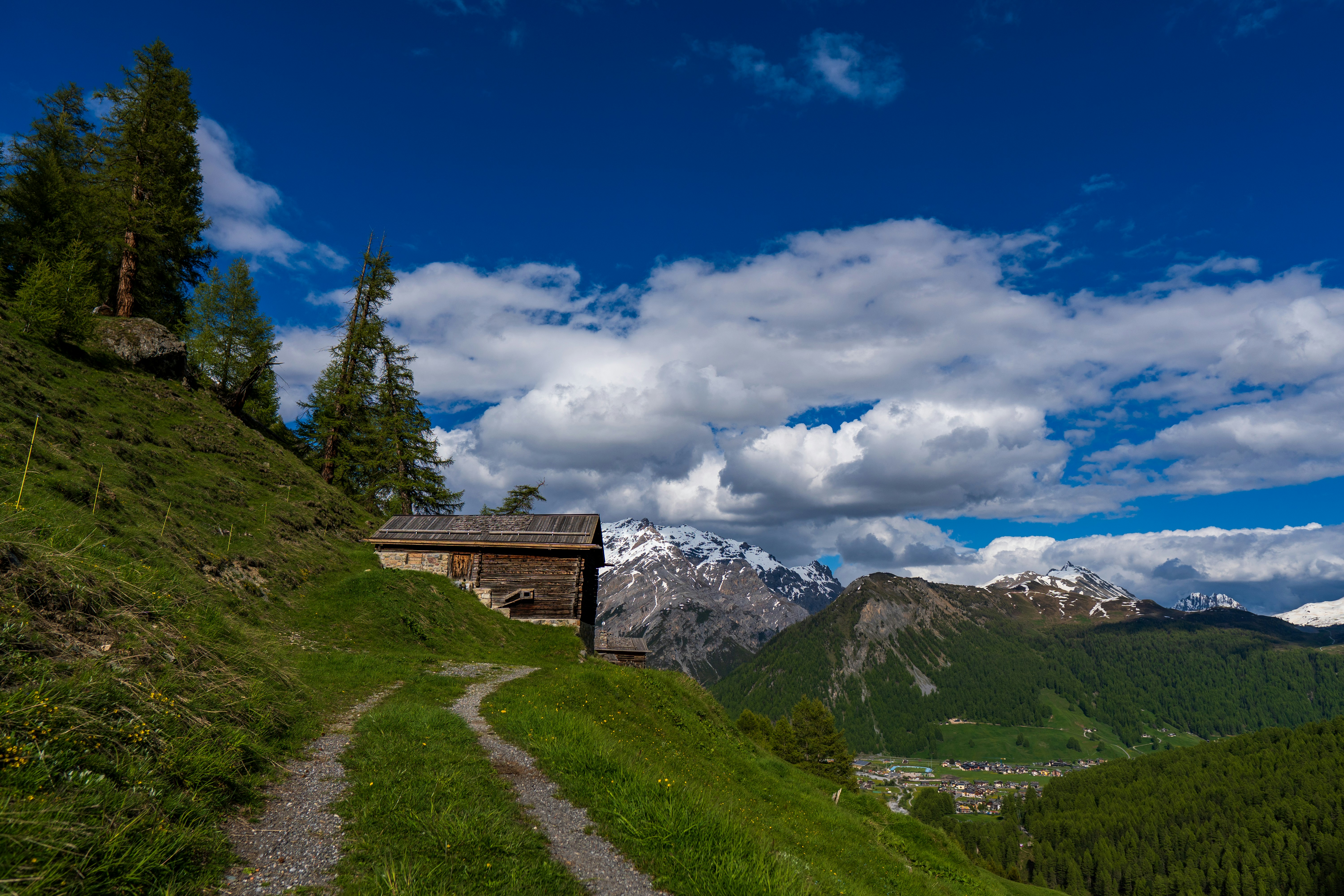 Photo by misha_blivi