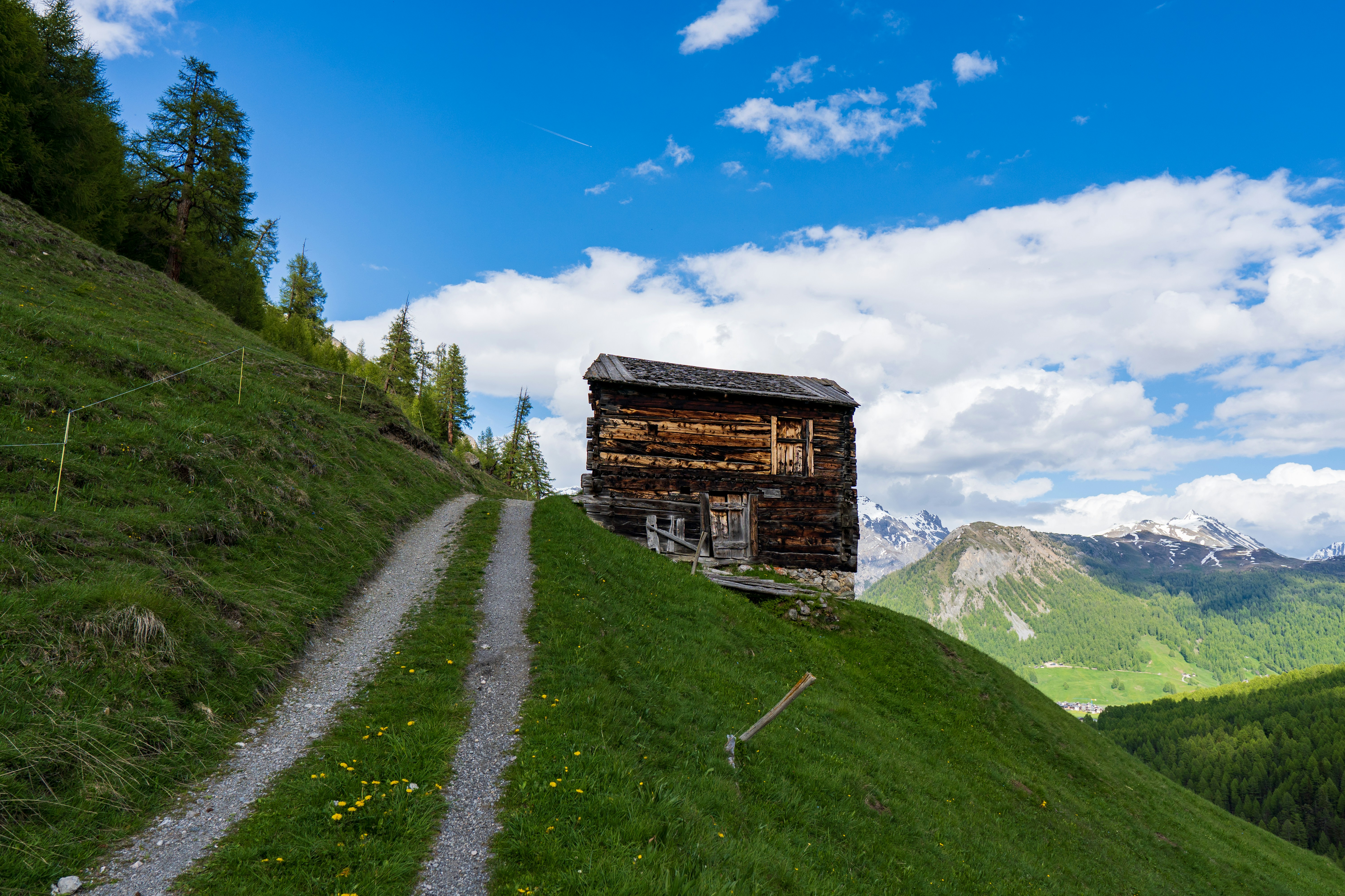 Photo by misha_blivi