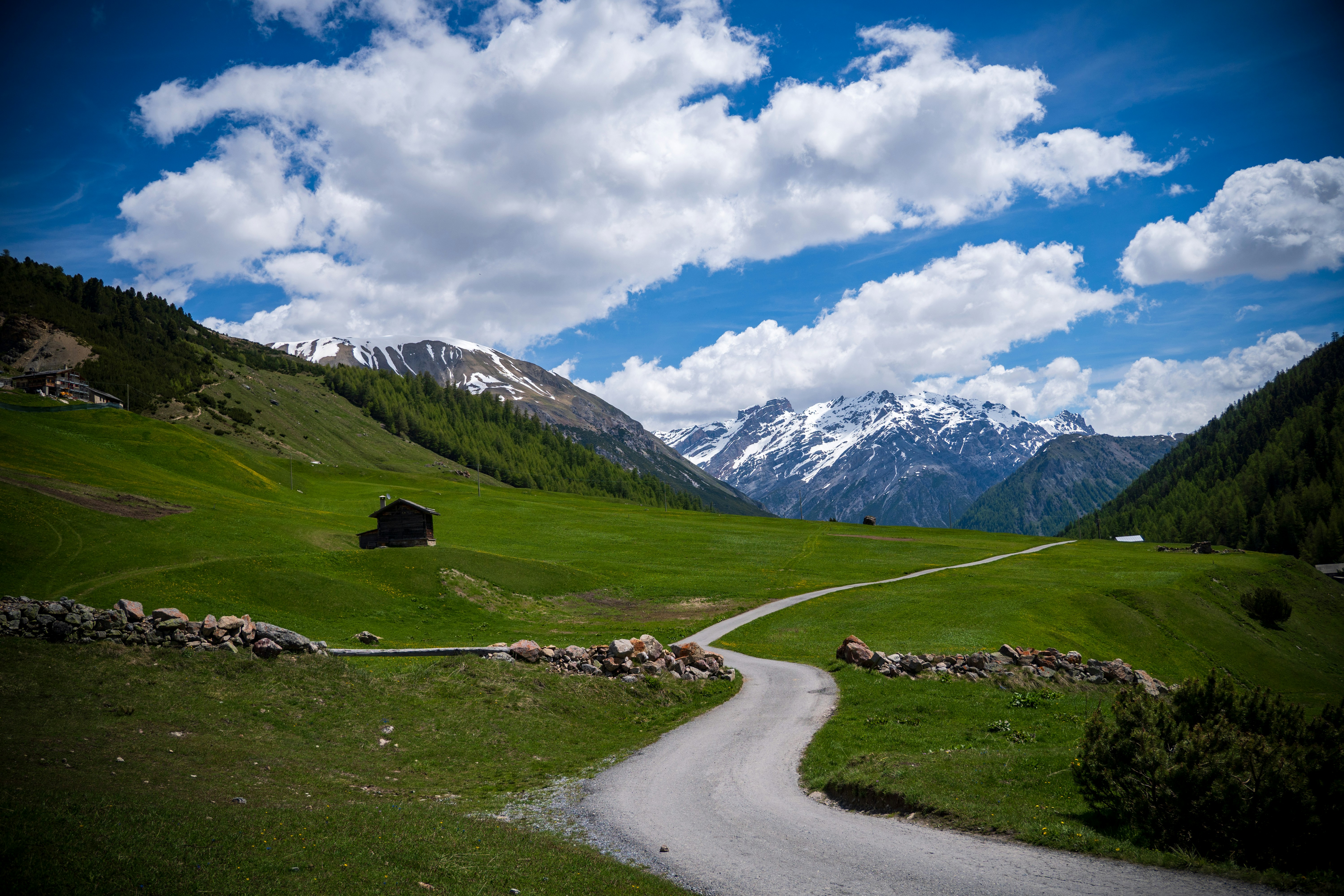 Photo by misha_blivi