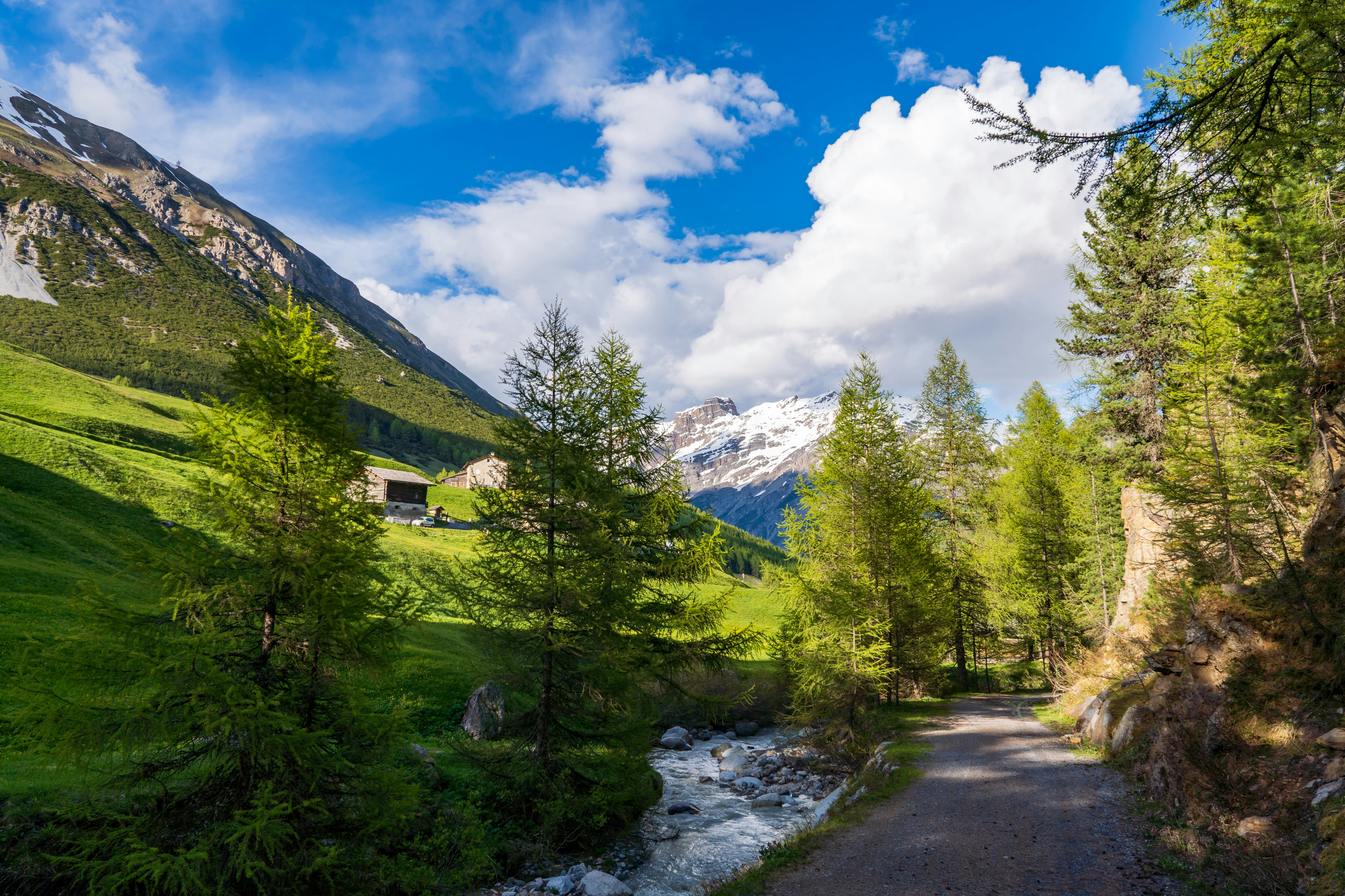 Photo by misha_blivi