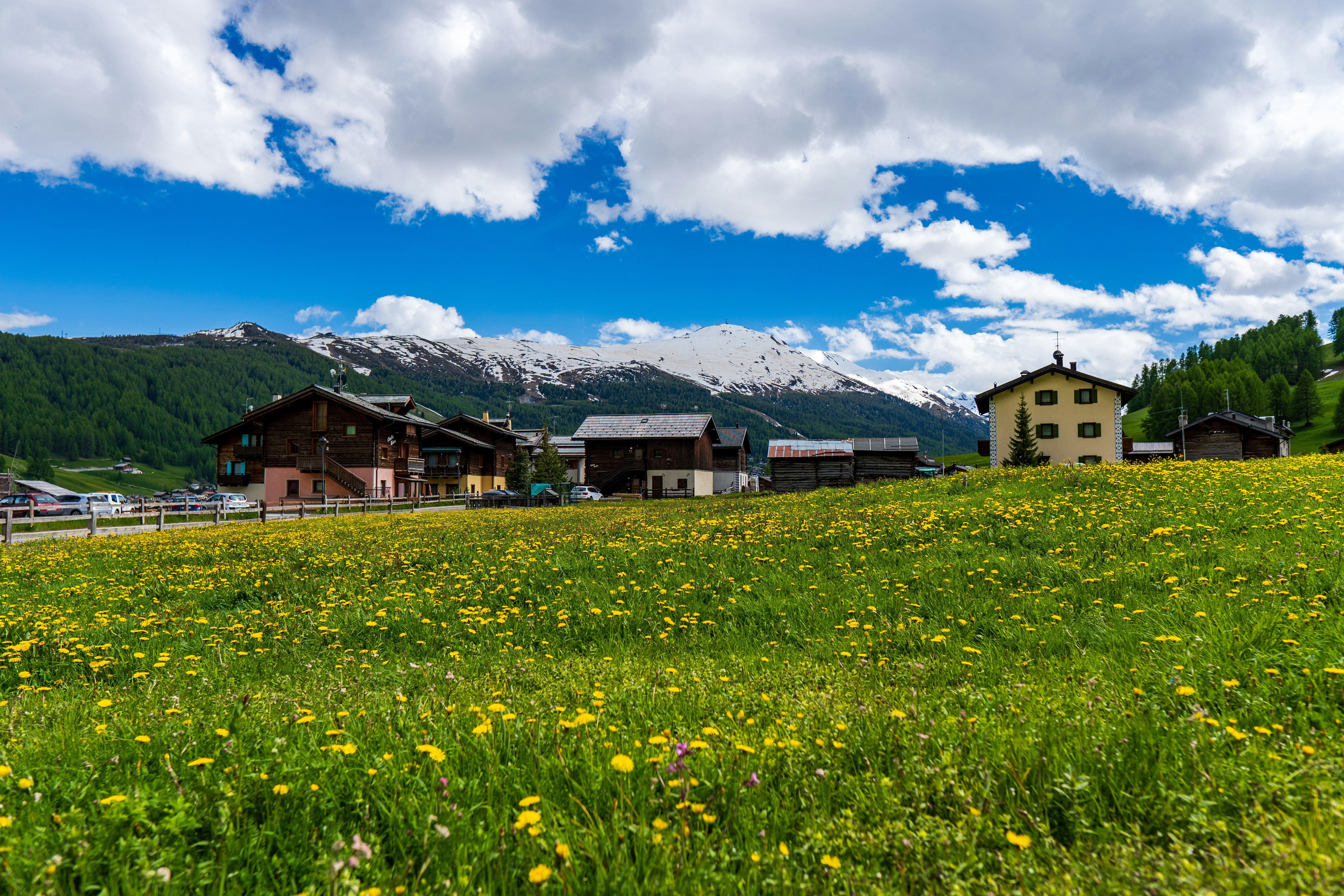 Photo by misha_blivi