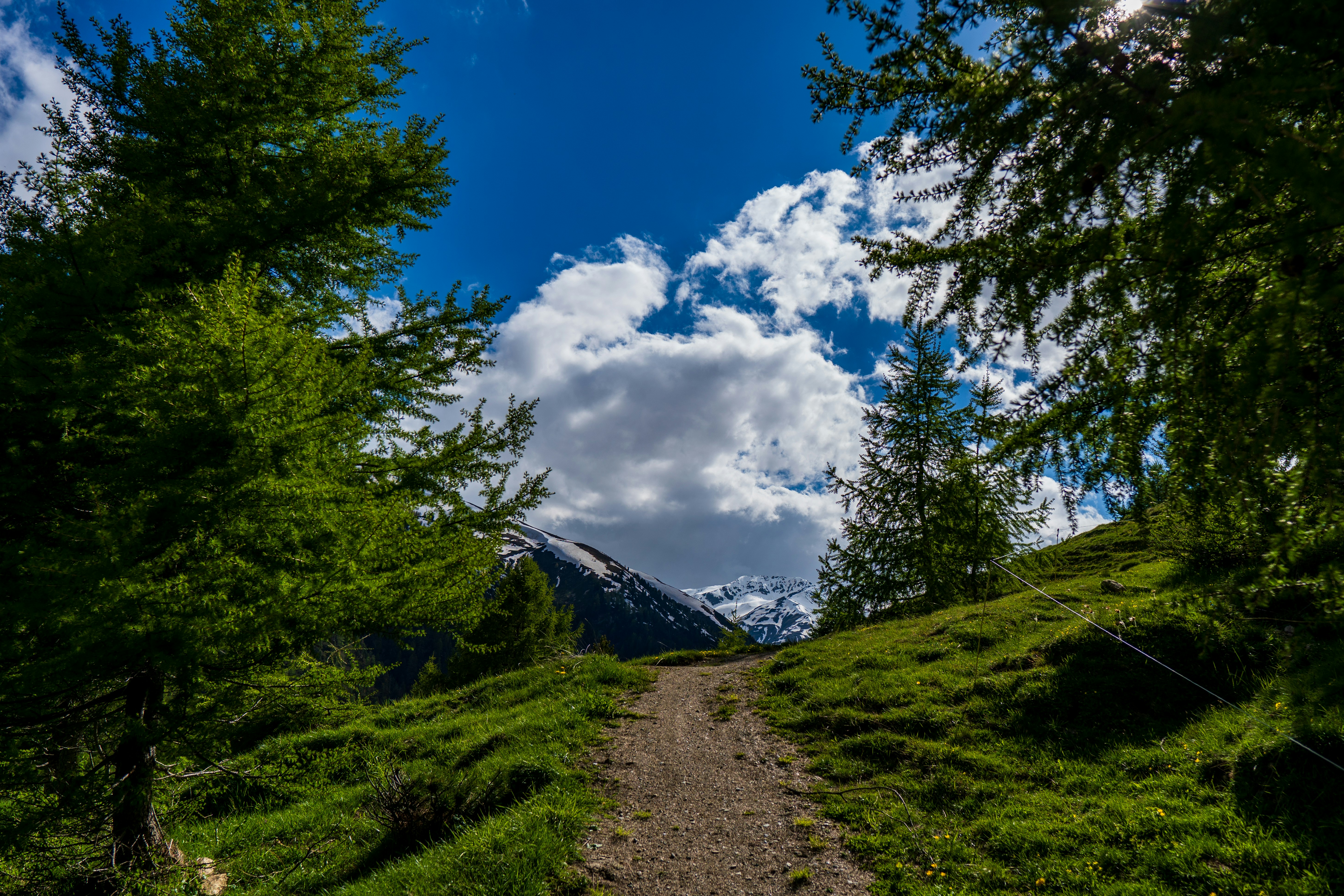 Photo by misha_blivi