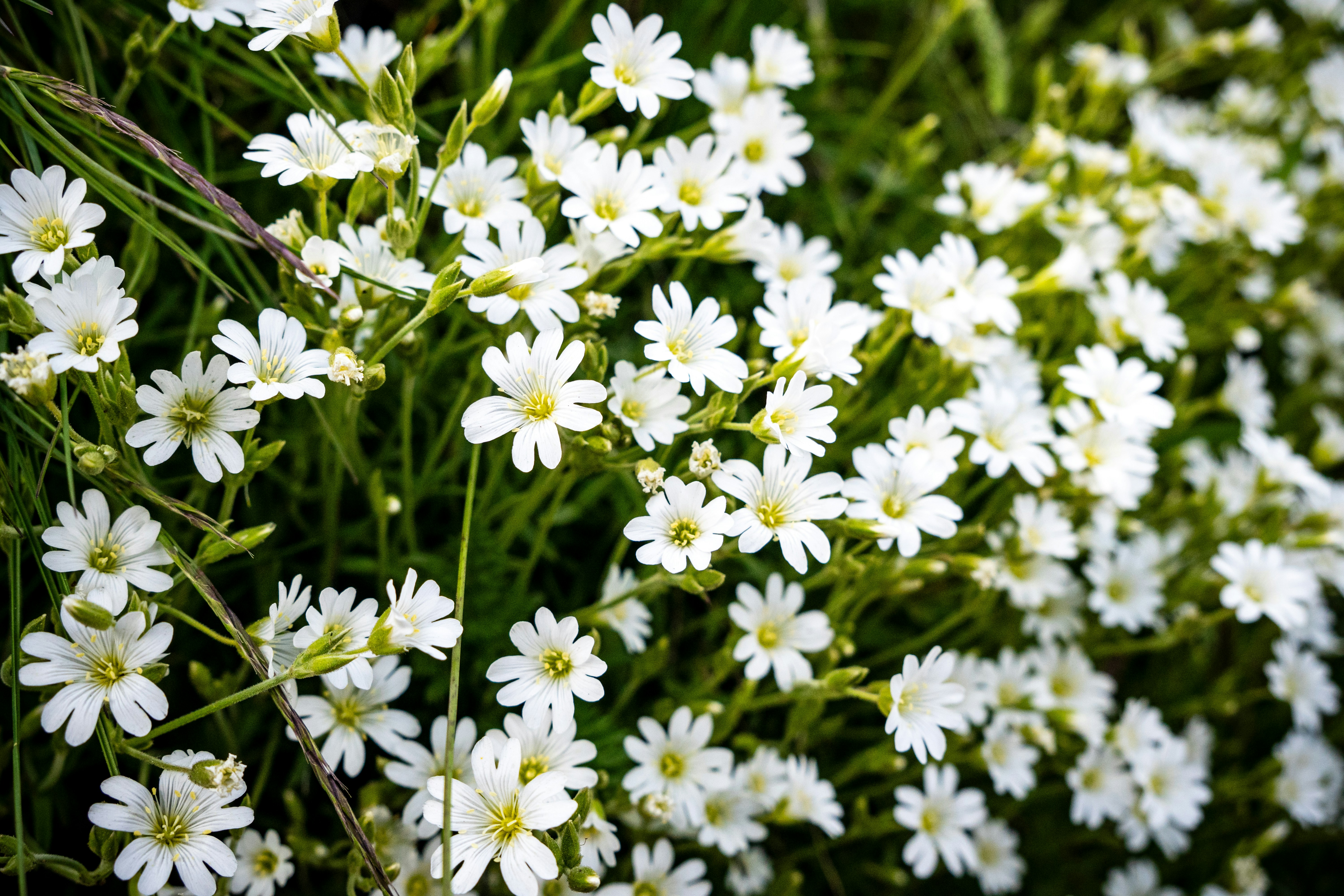 Photo by misha_blivi