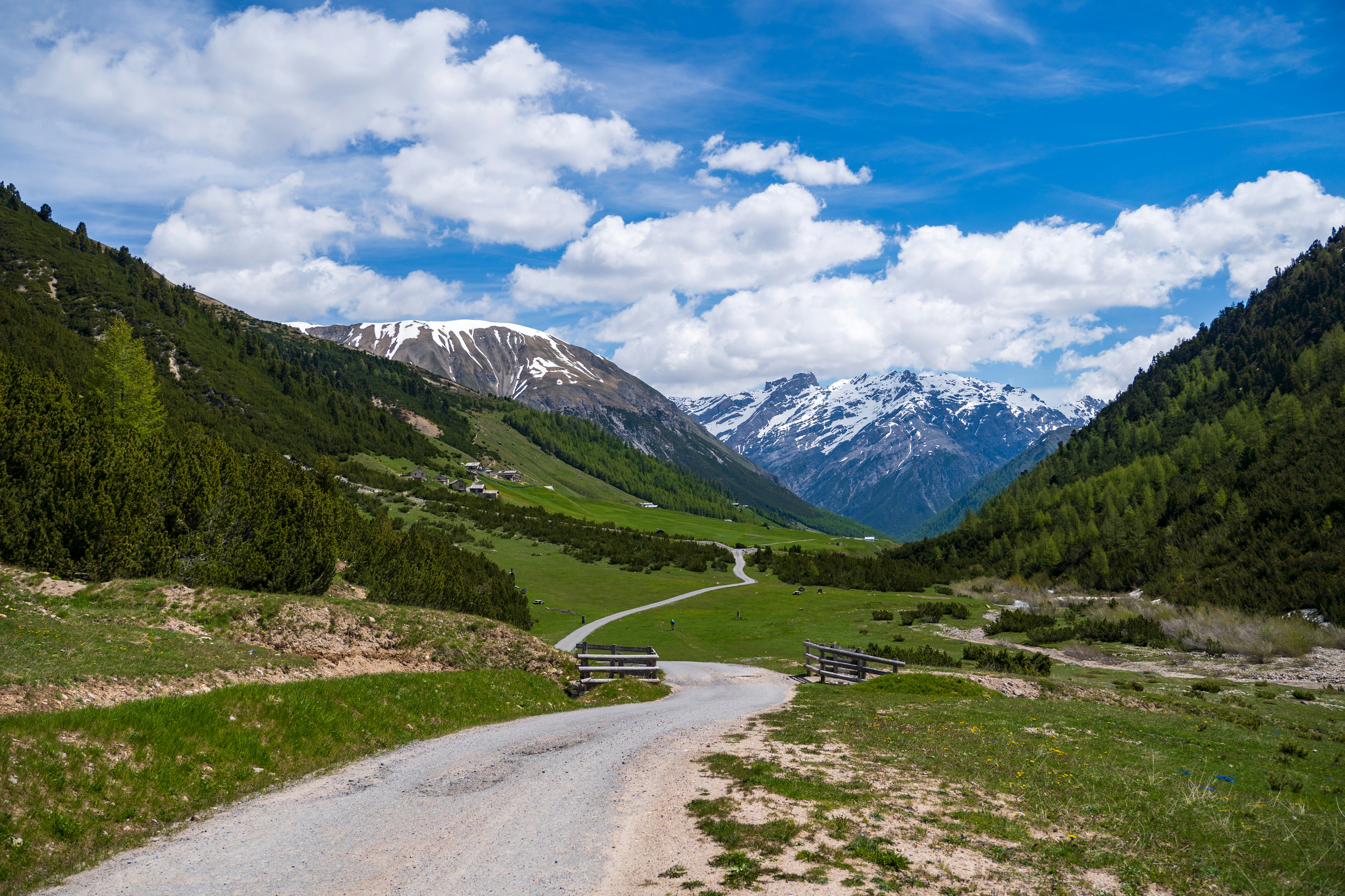 Photo by misha_blivi