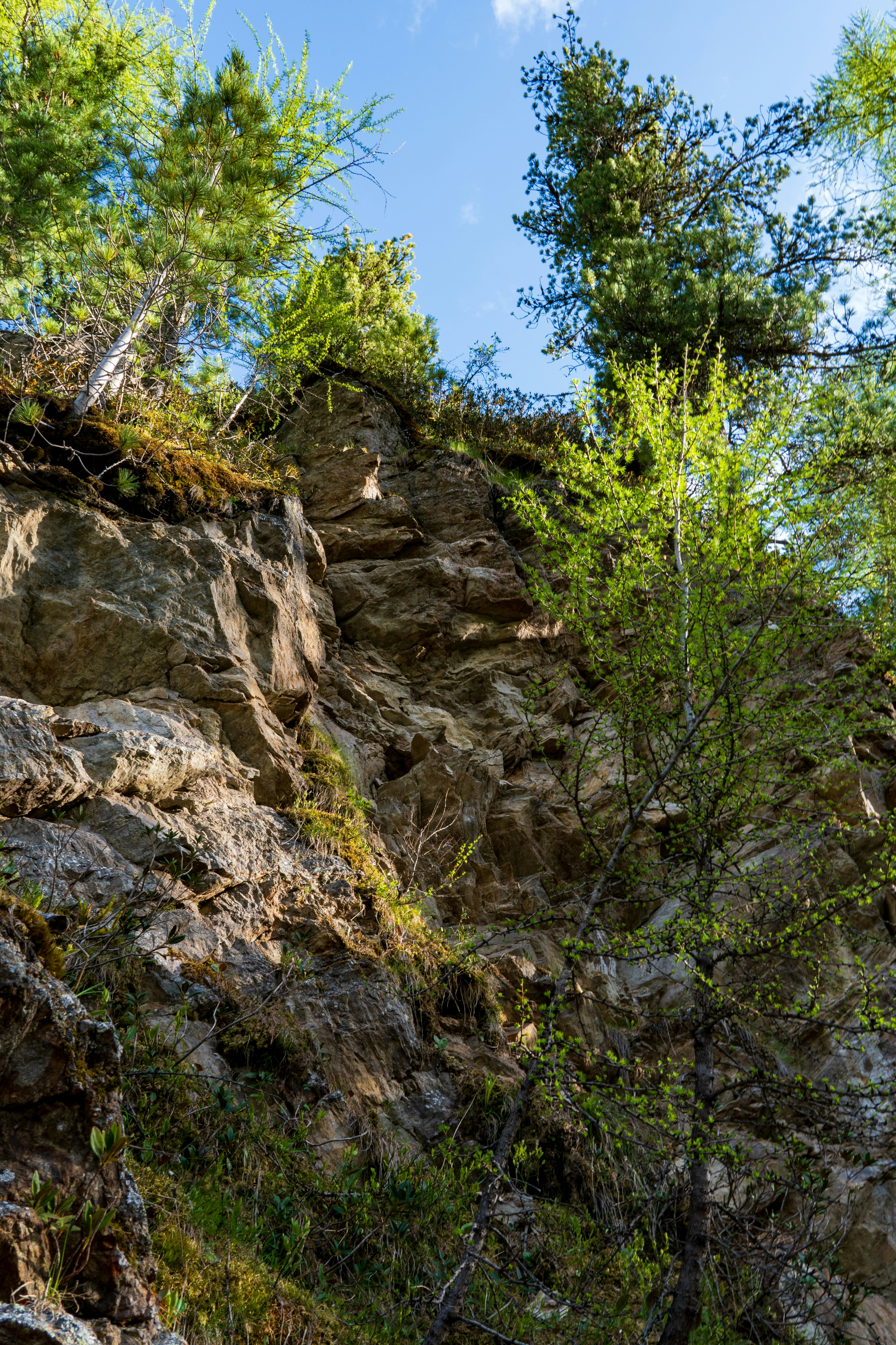 Photo by misha_blivi