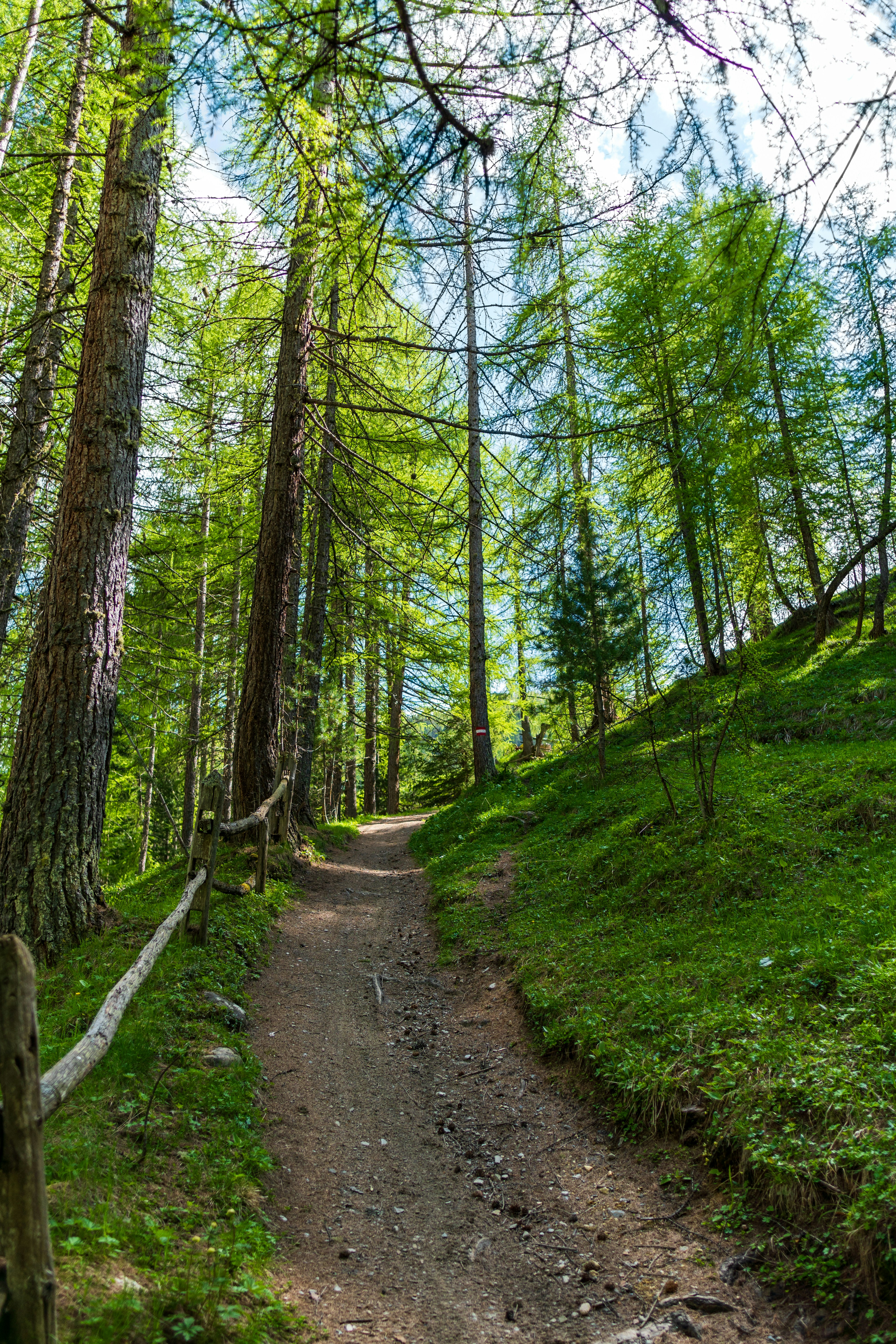 Photo by misha_blivi