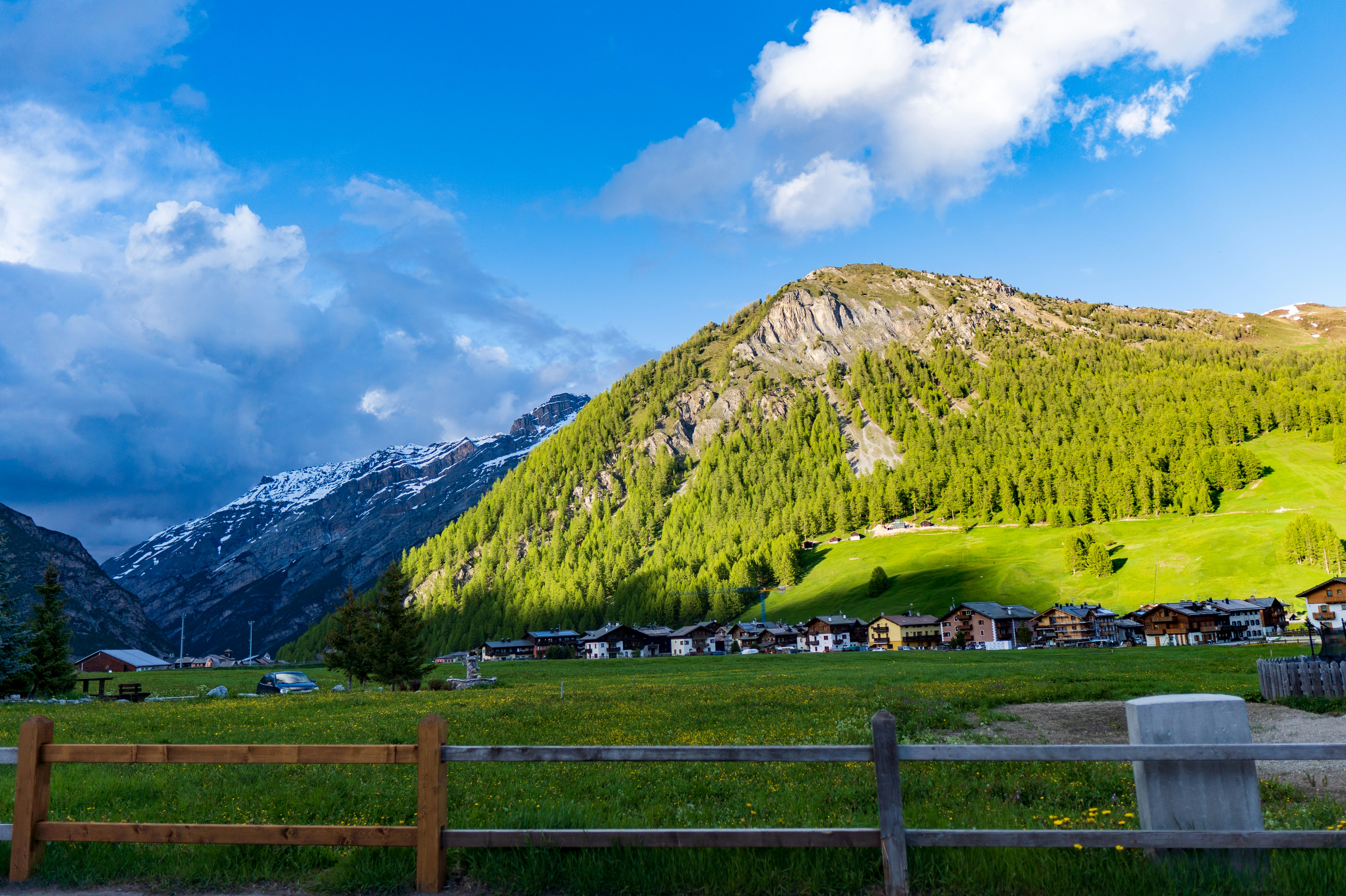 Photo by misha_blivi