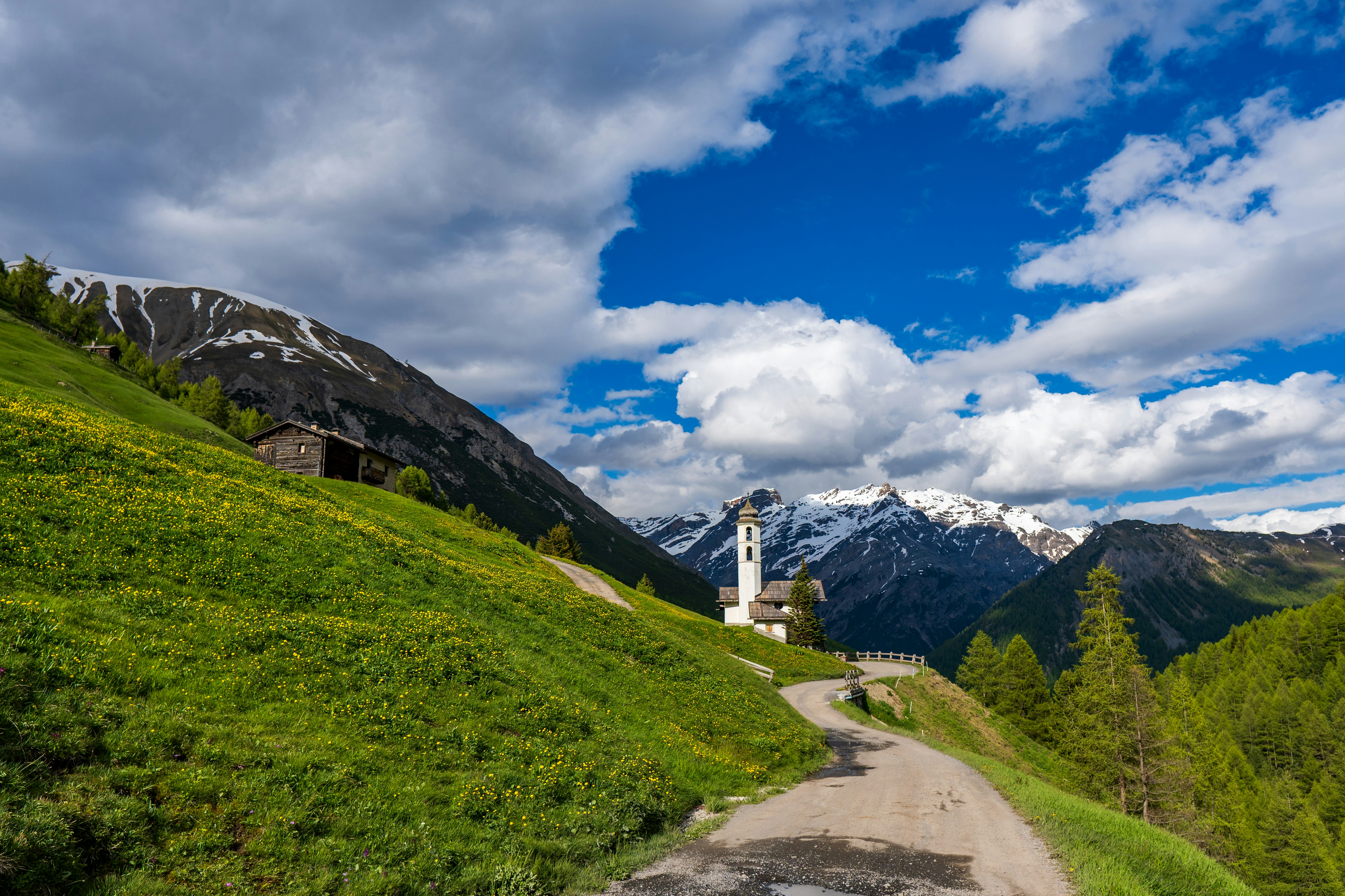 Photo by misha_blivi