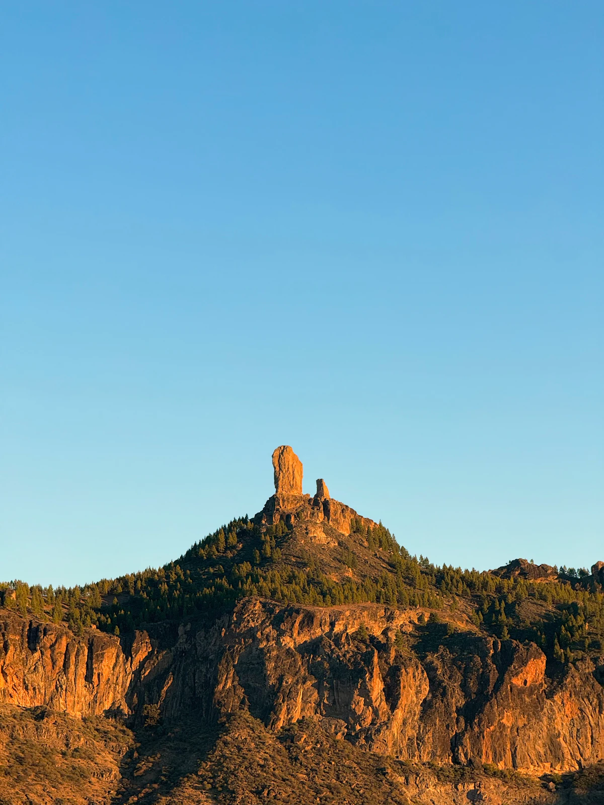 Roque Nublo on its pine-covered ridge in low sun, above orange cliffs