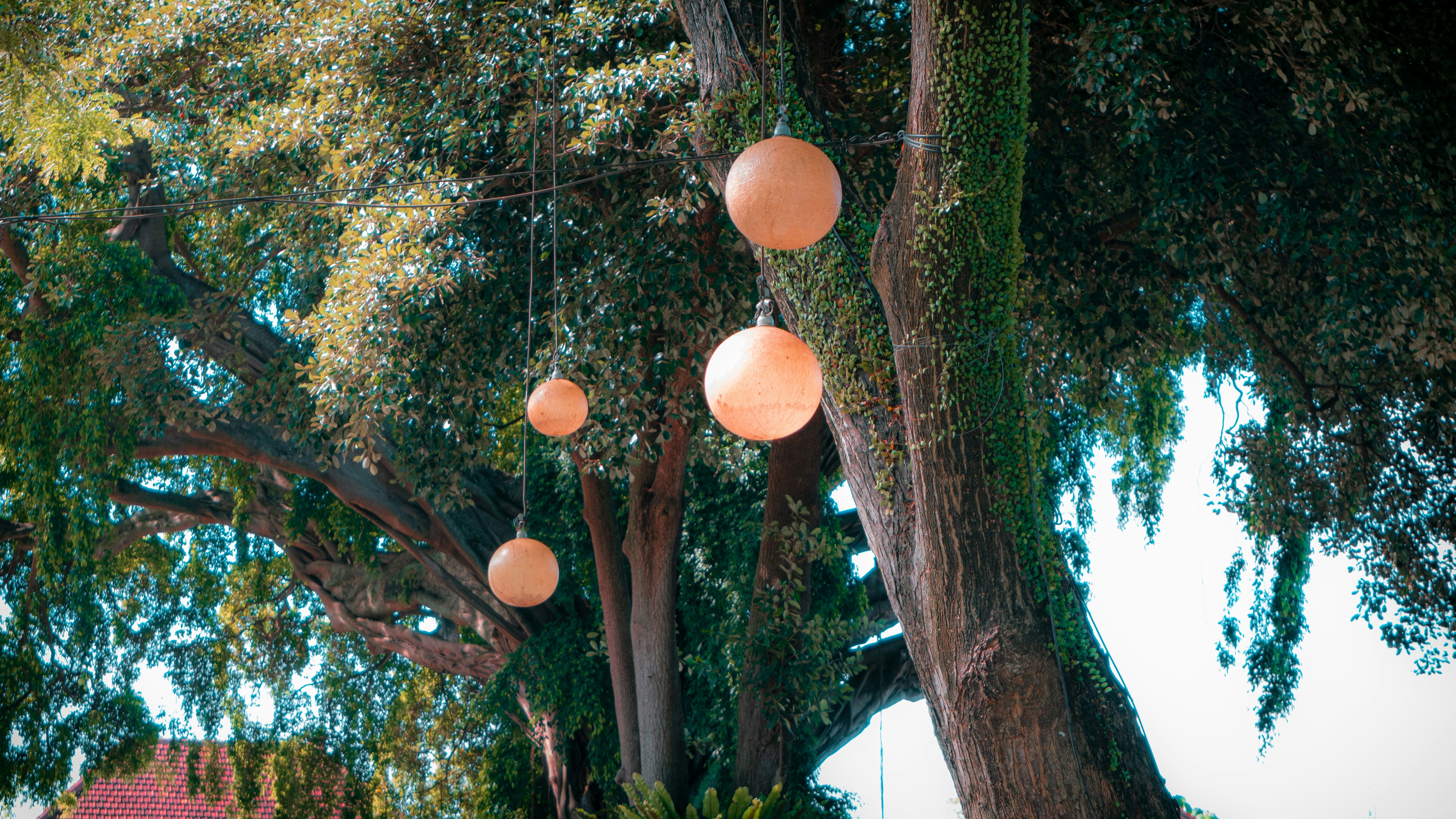 Photo by deafebrianoyuvica