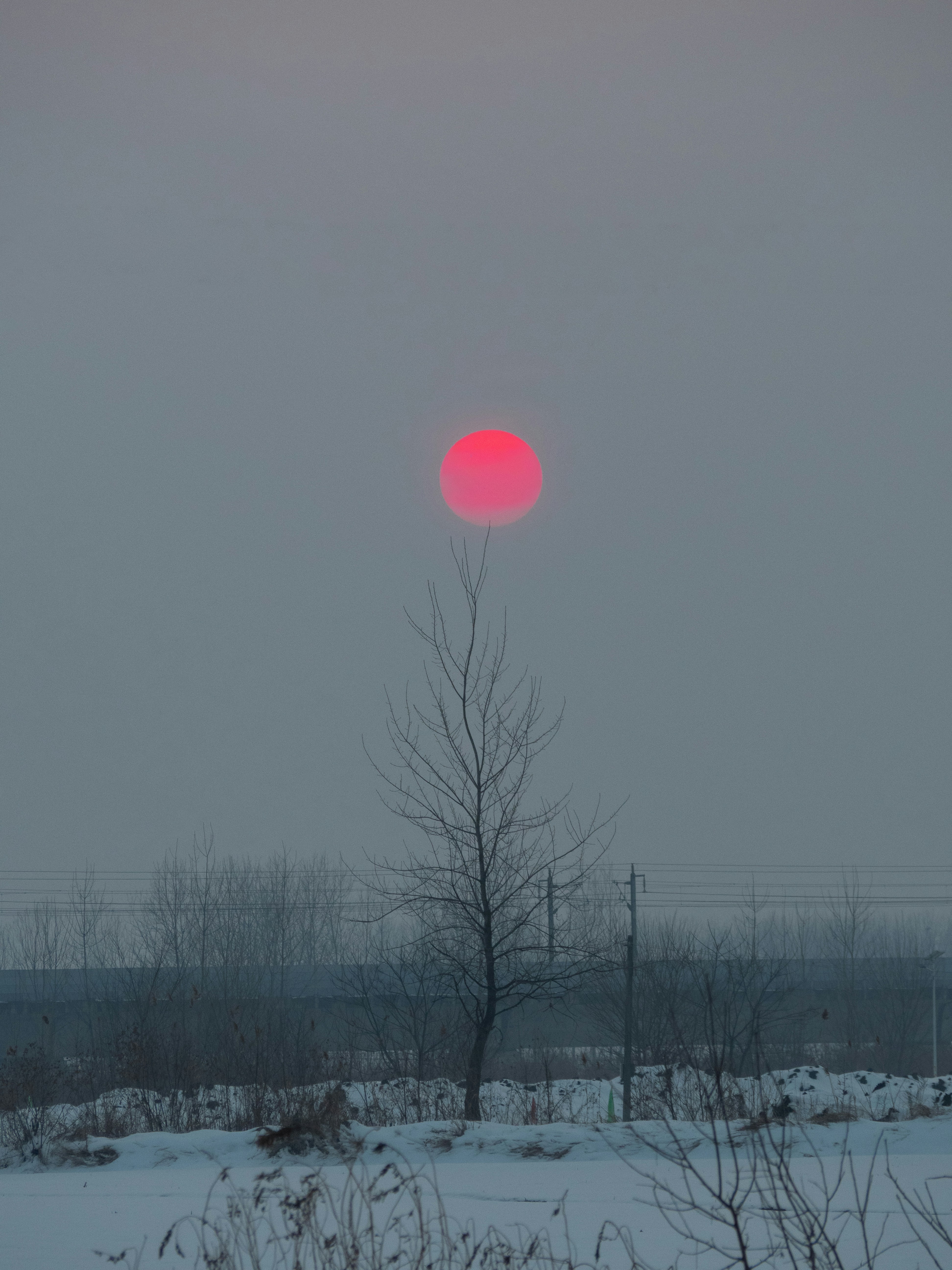 el sol se está poniendo sobre un campo nevado