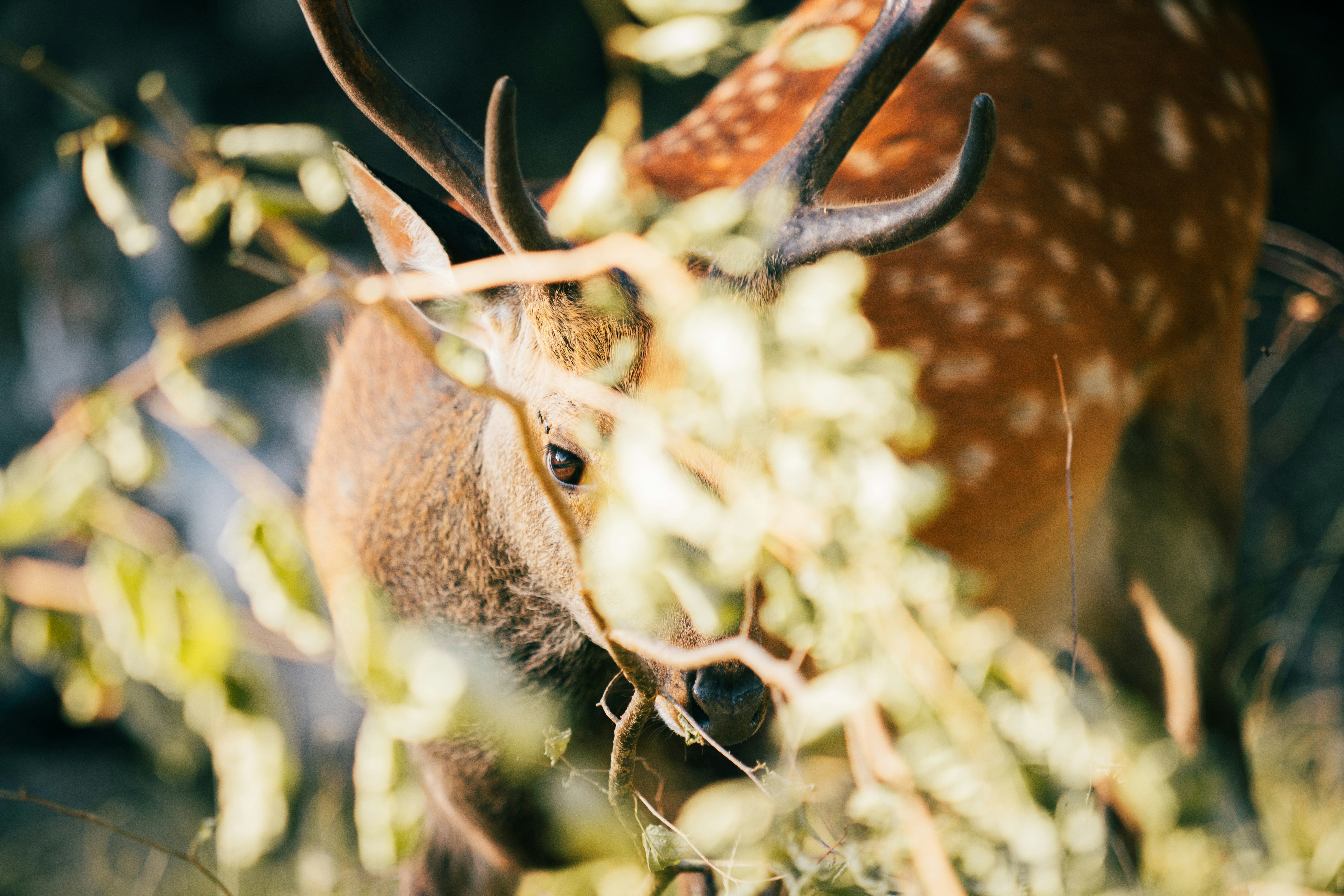 Photo by leob_photography