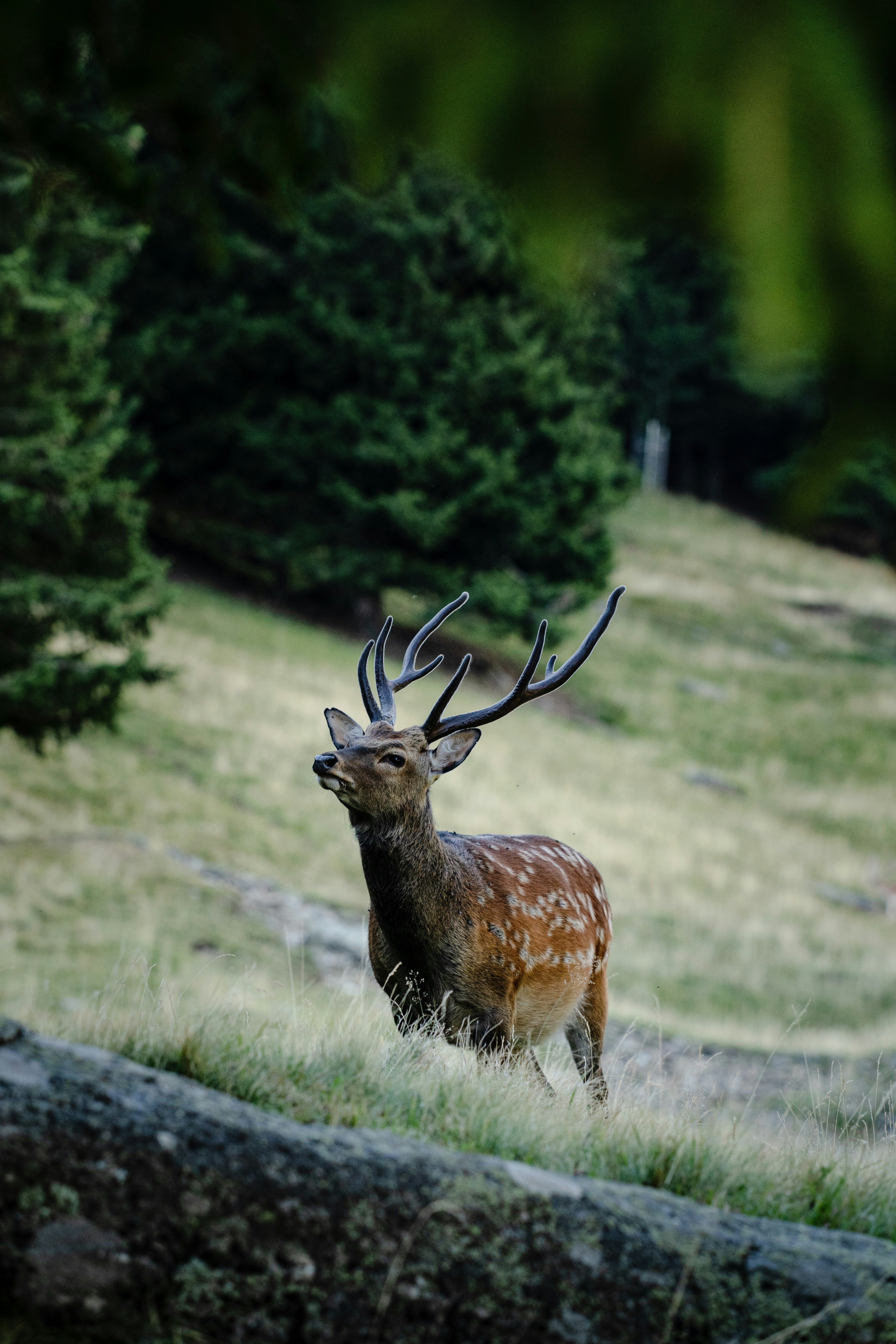 Photo by leob_photography