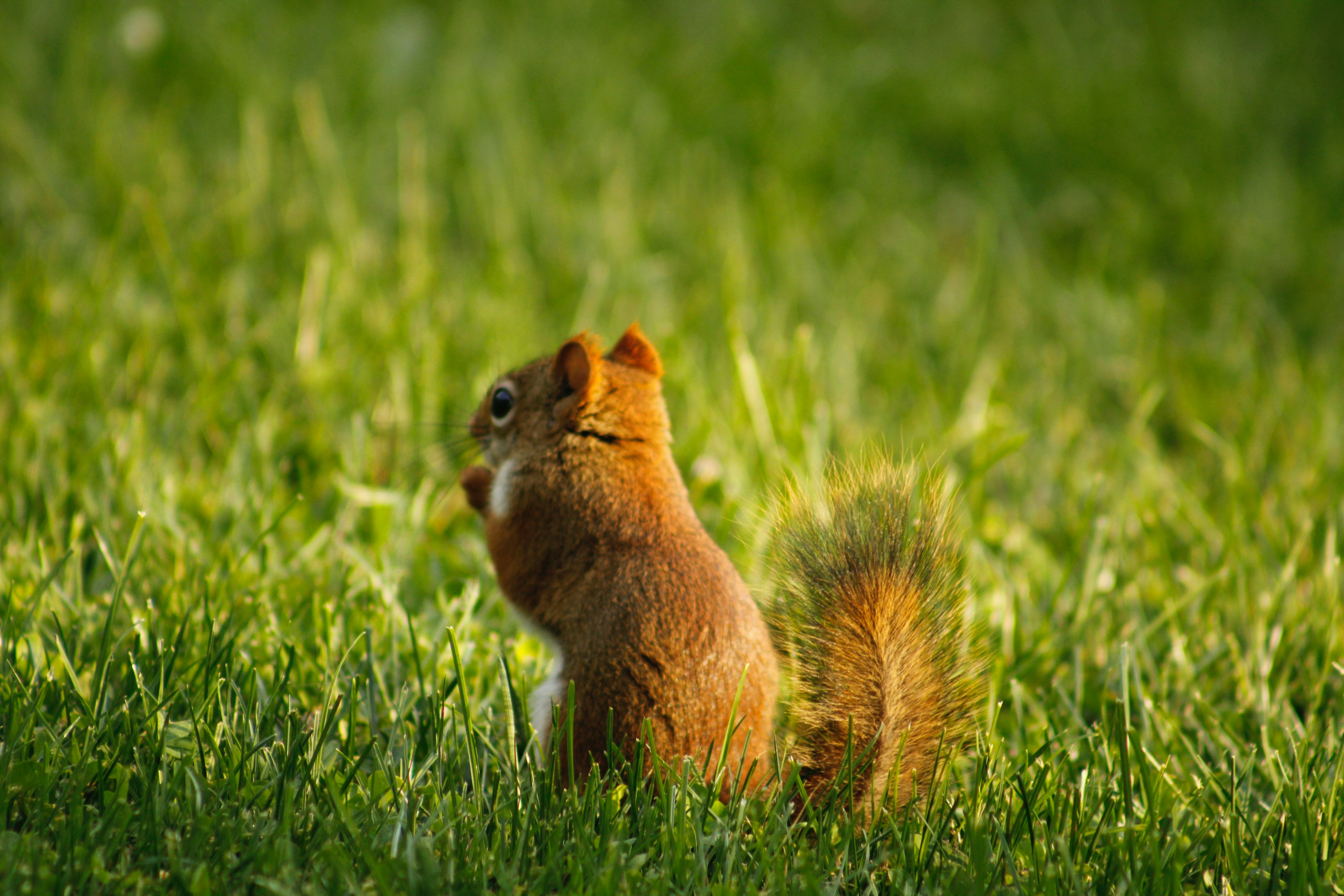 Photo by lisa_duqlaw